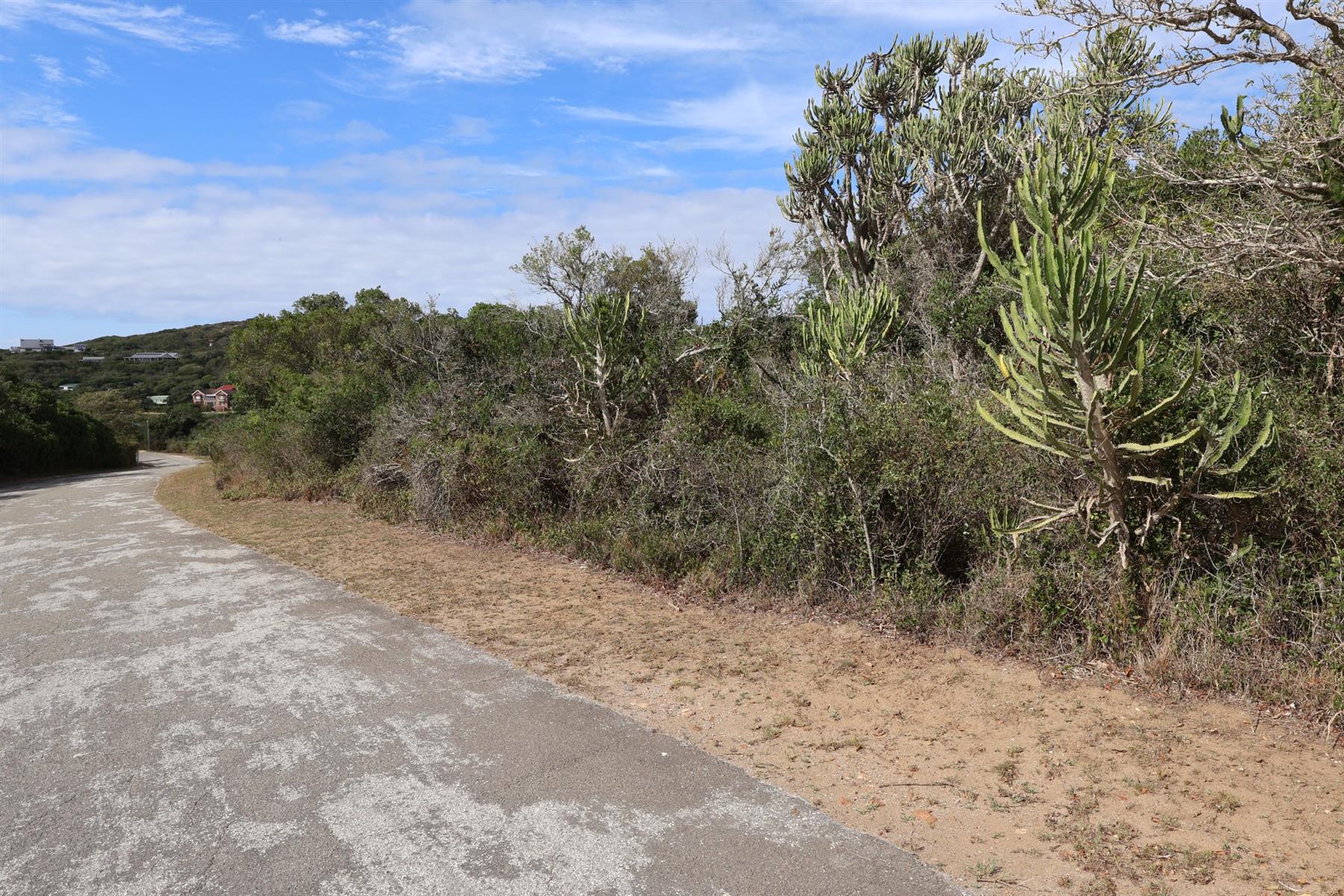 Vacant Land on the Peninsula in Kleinemonde