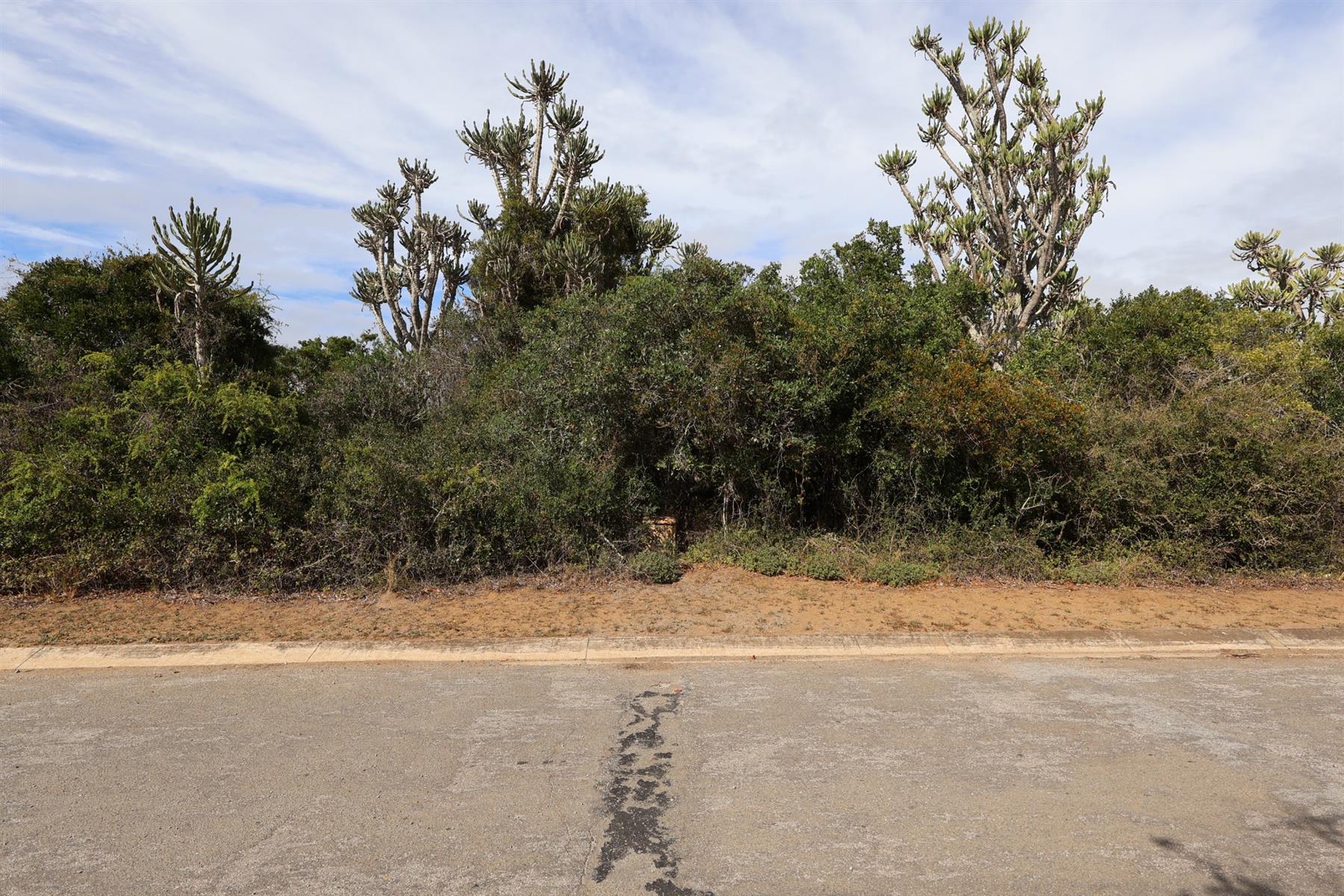 Vacant Land on the Peninsula in Kleinemonde