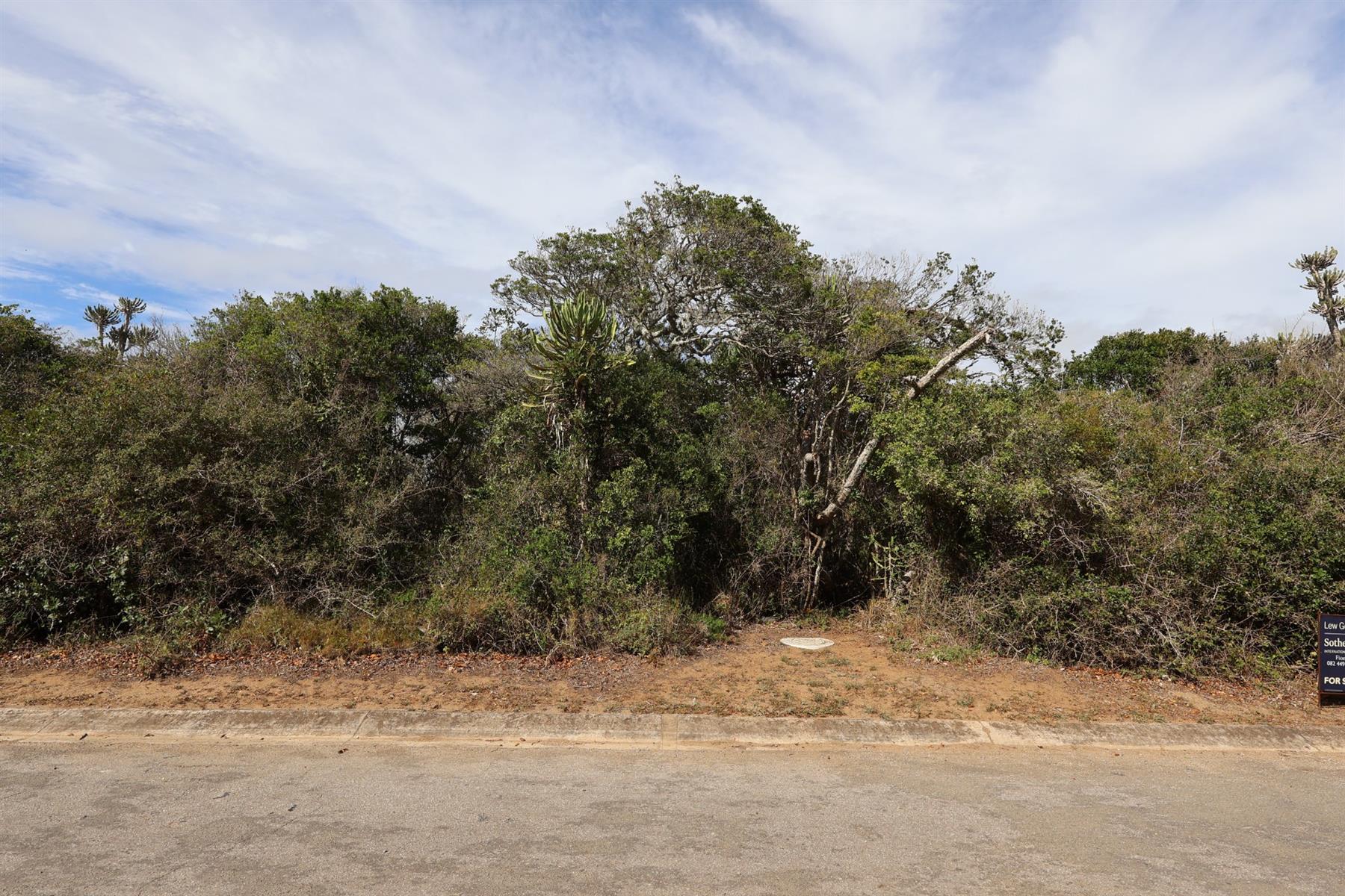 Vacant Land on the Peninsula in Kleinemonde
