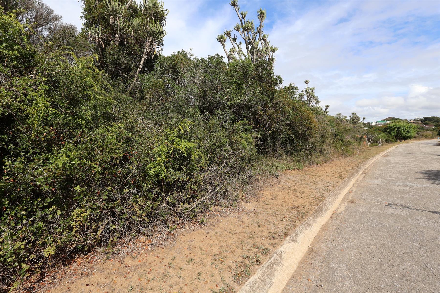 Vacant Land on the Peninsula in Kleinemonde
