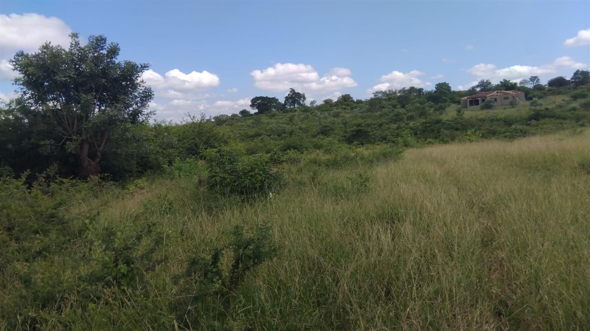 Farm For Sale in Dididi, Thohoyandou Rural, Dididi