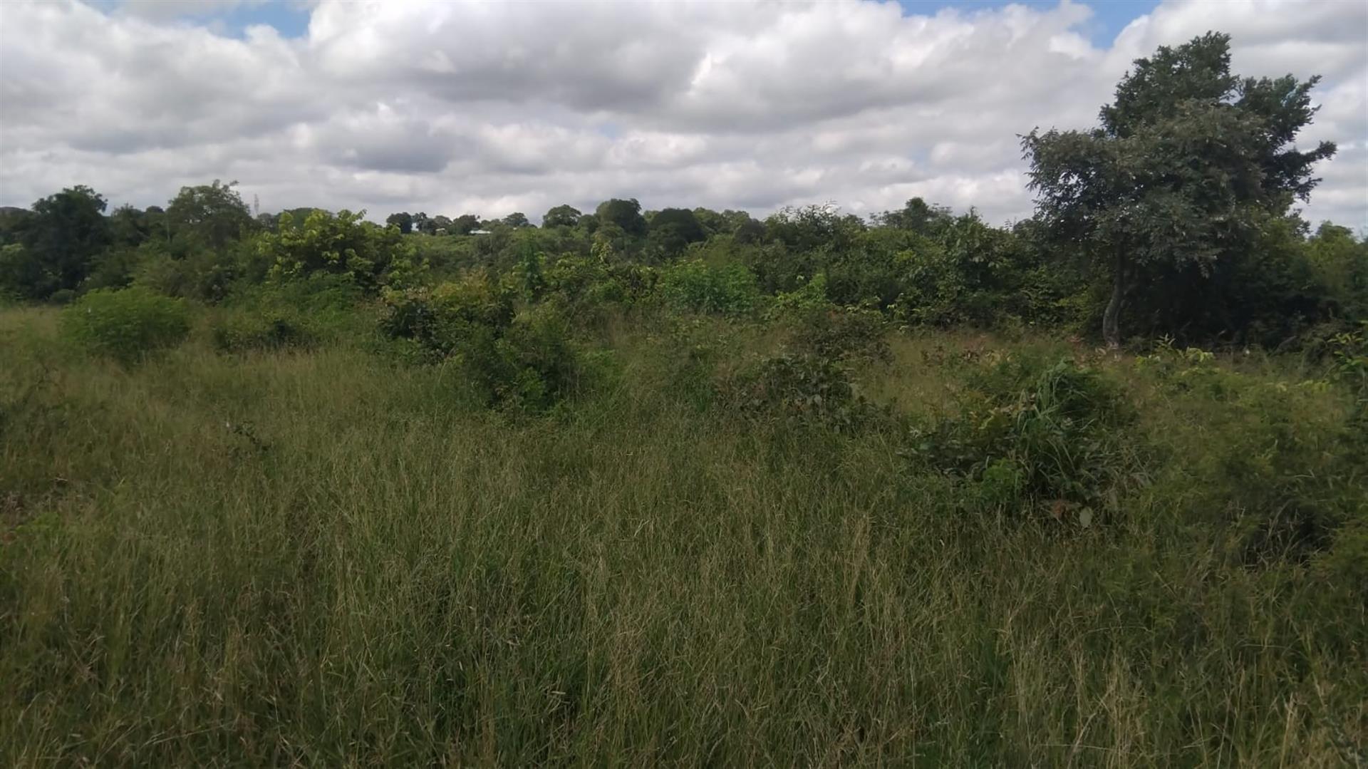 Farm For Sale in Dididi, Thohoyandou Rural, Dididi
