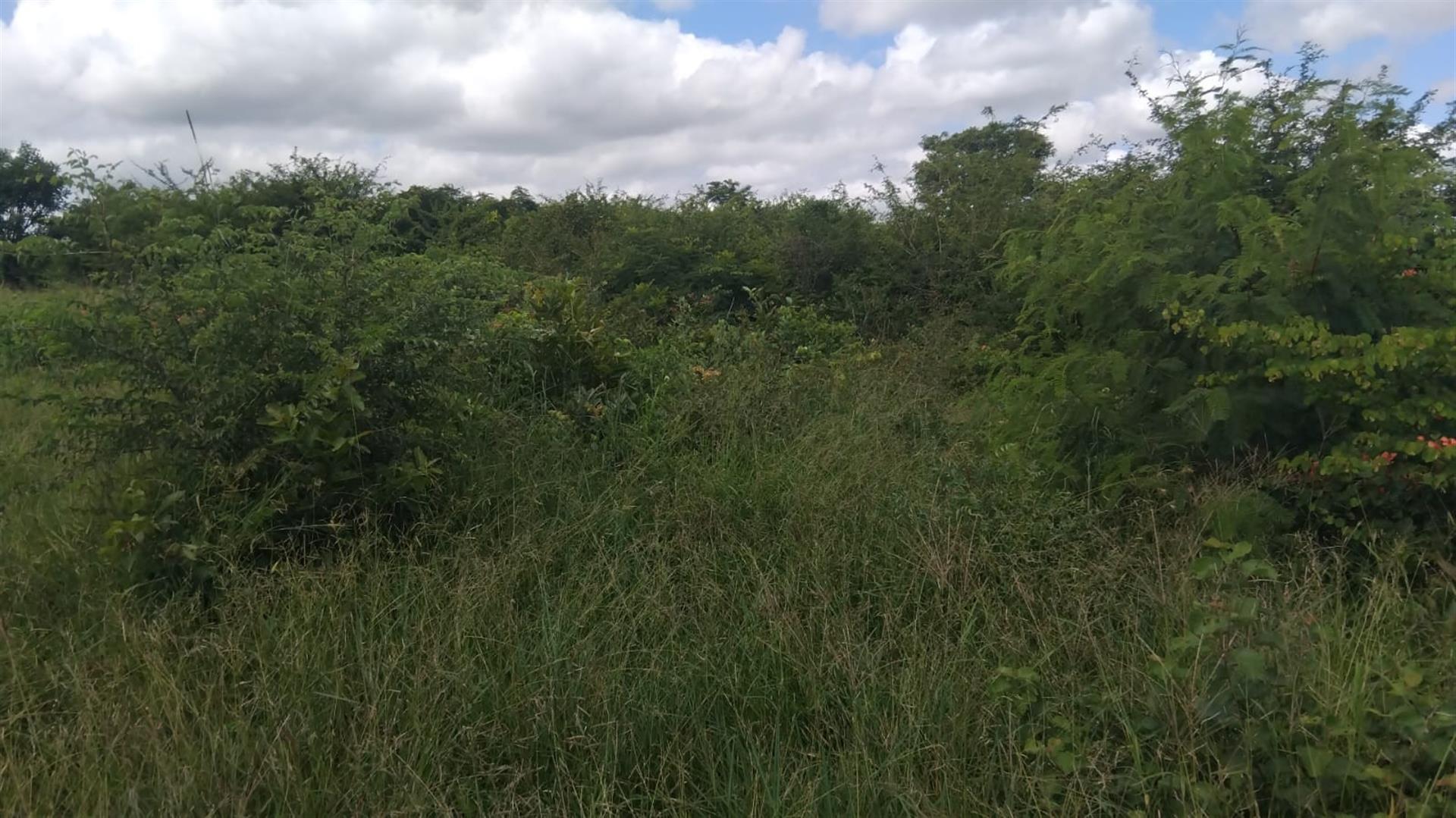 Farm For Sale in Dididi, Thohoyandou Rural, Dididi