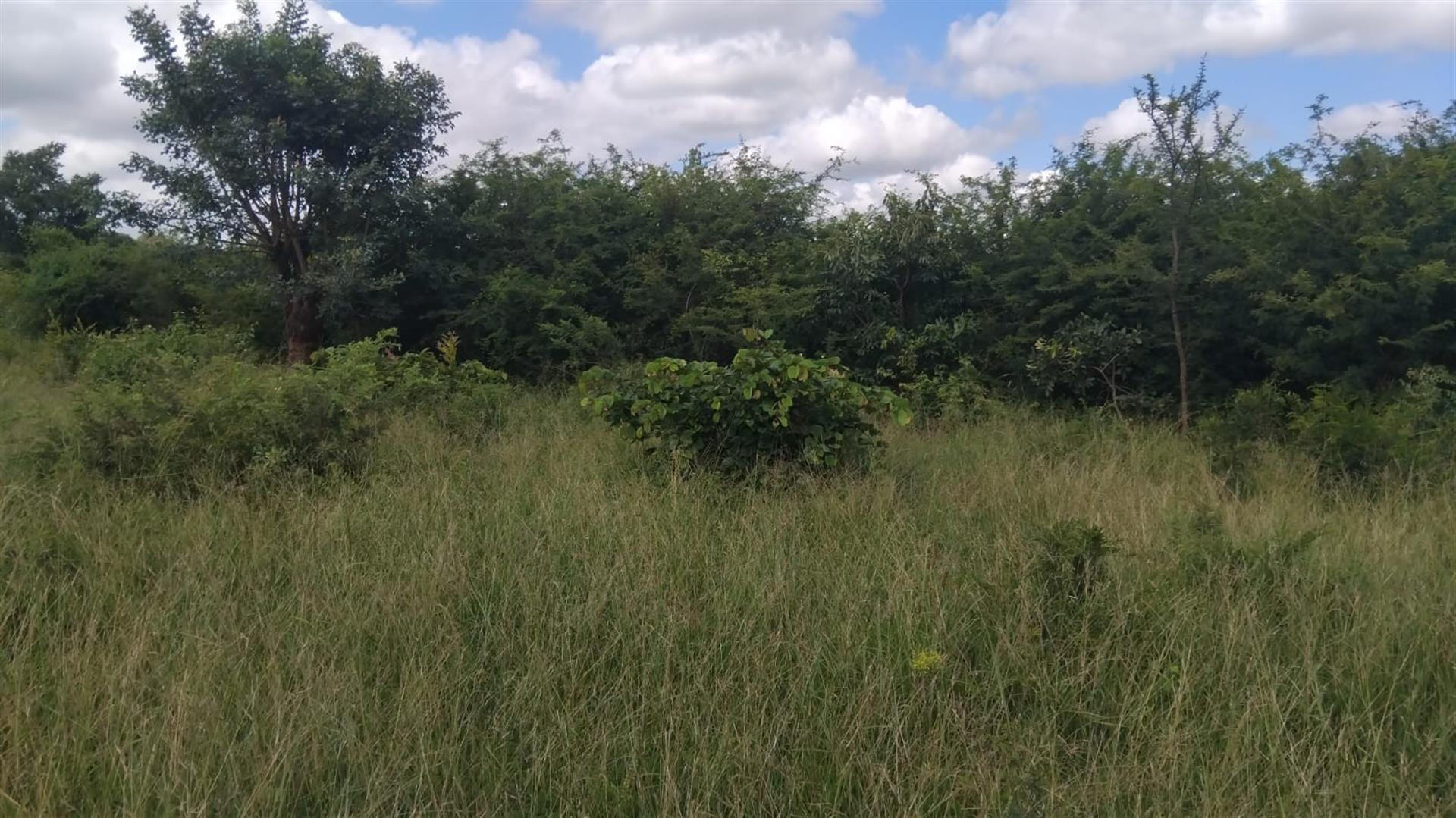 Farm For Sale in Dididi, Thohoyandou Rural, Dididi