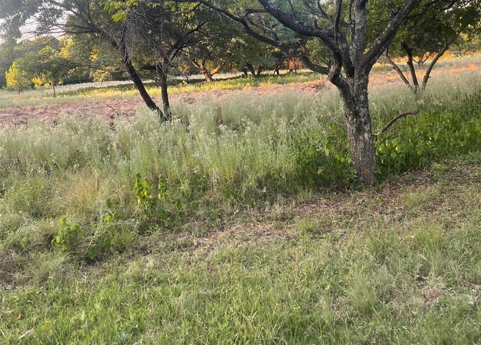 8000 sqm PRIME LOCATION Vacant Land For Rent in Glenferness, Midrand