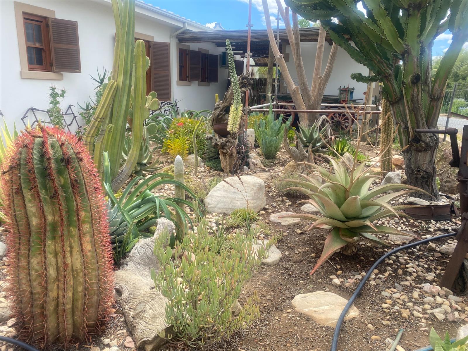 Established Self-Catering Investment with Spacious Family Living