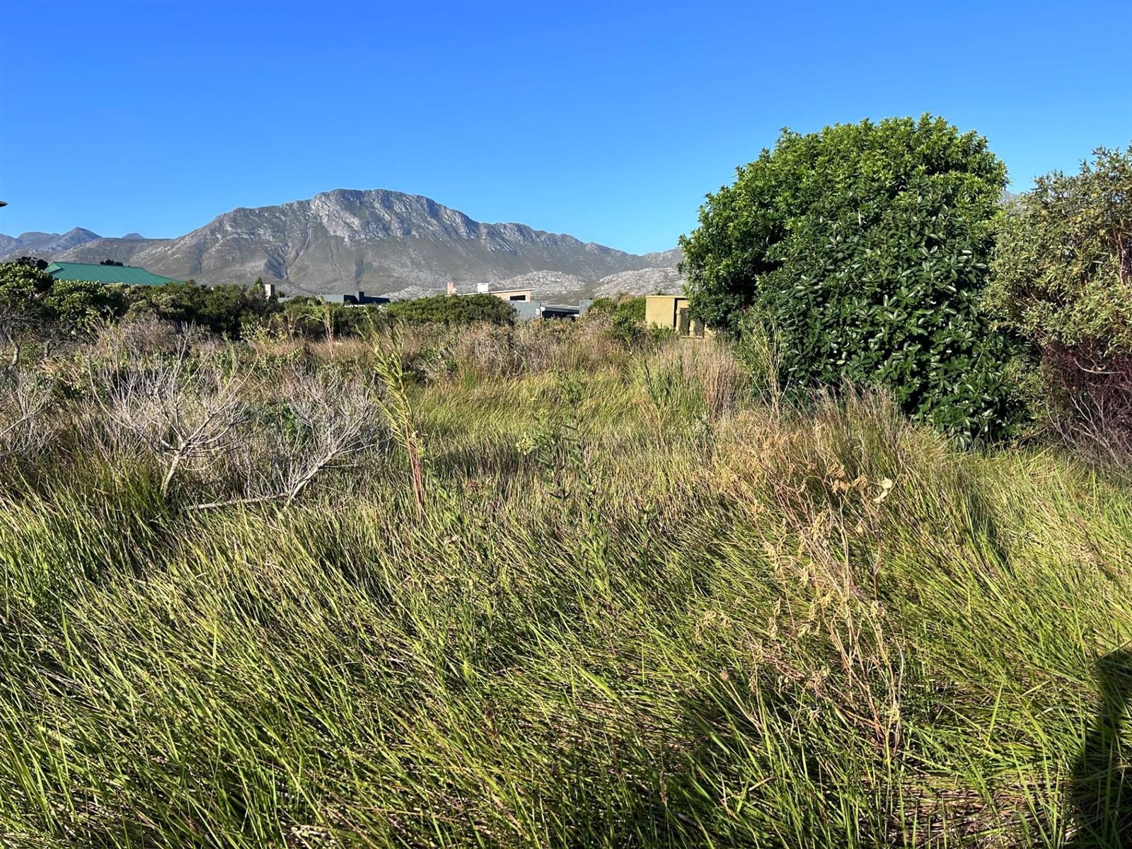 Vacant Land For Sale in Pringle Bay