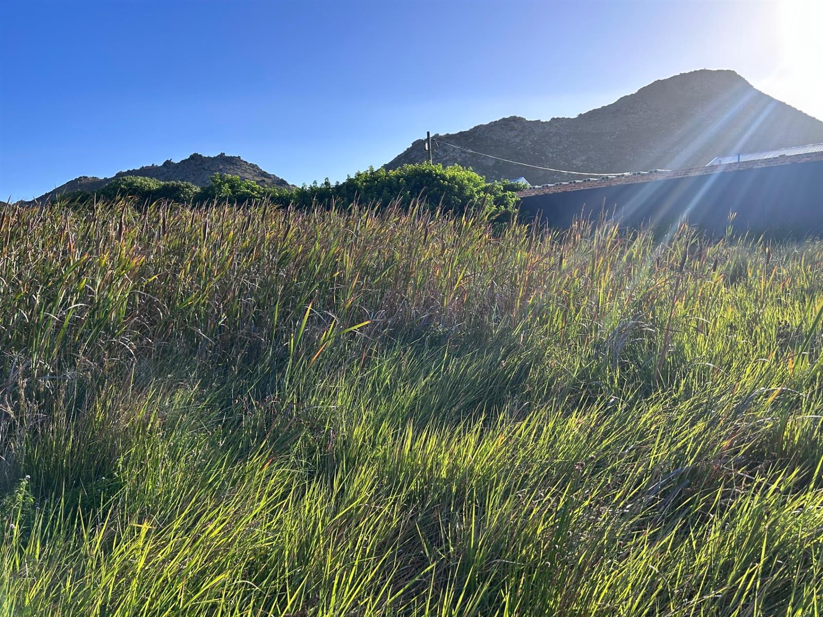 Vacant Land For Sale in Pringle Bay