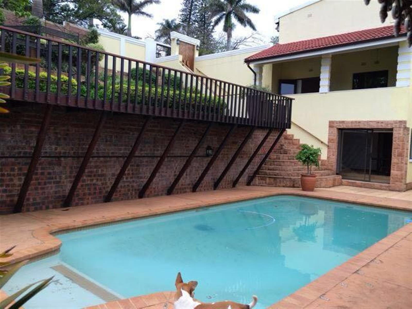 House for sale in Panorama, Empangeni, KwaZulu Natal, 34 Wildebees Street, Panorama, Empangeni, KwaZulu Natal, 1044 m²