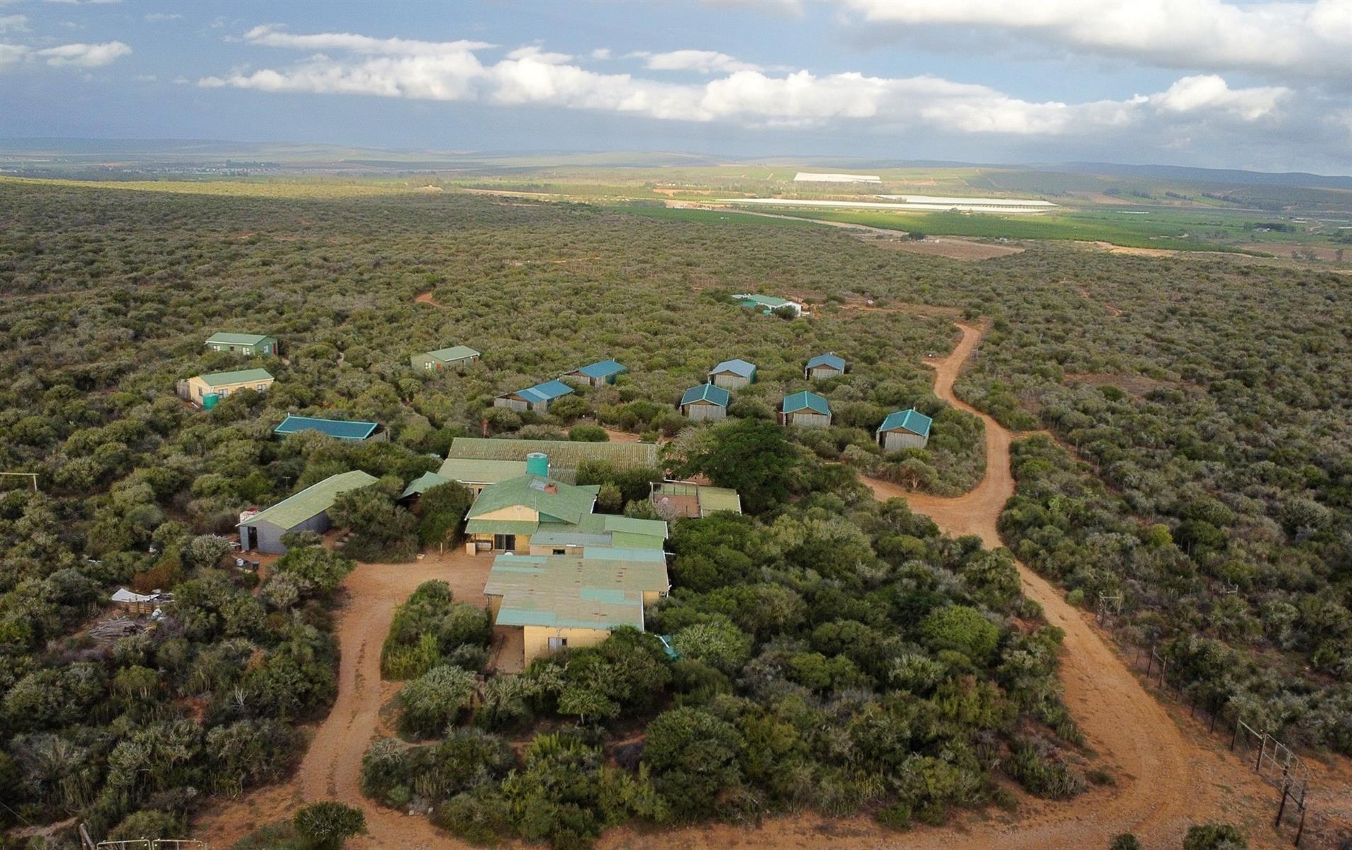 Prime Wildlife Game Lodge for sale in Addo