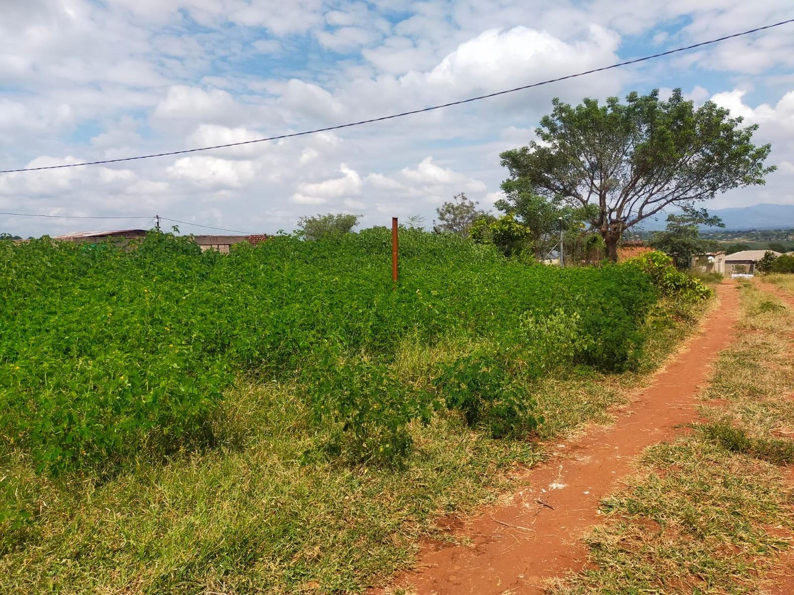 Vacant Land For Sale in Dididi, Thohoyandou Rural