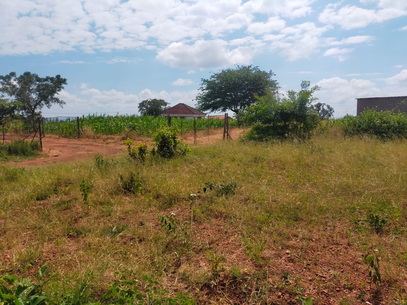 Vacant Land For Sale in Dididi, Thohoyandou Rural
