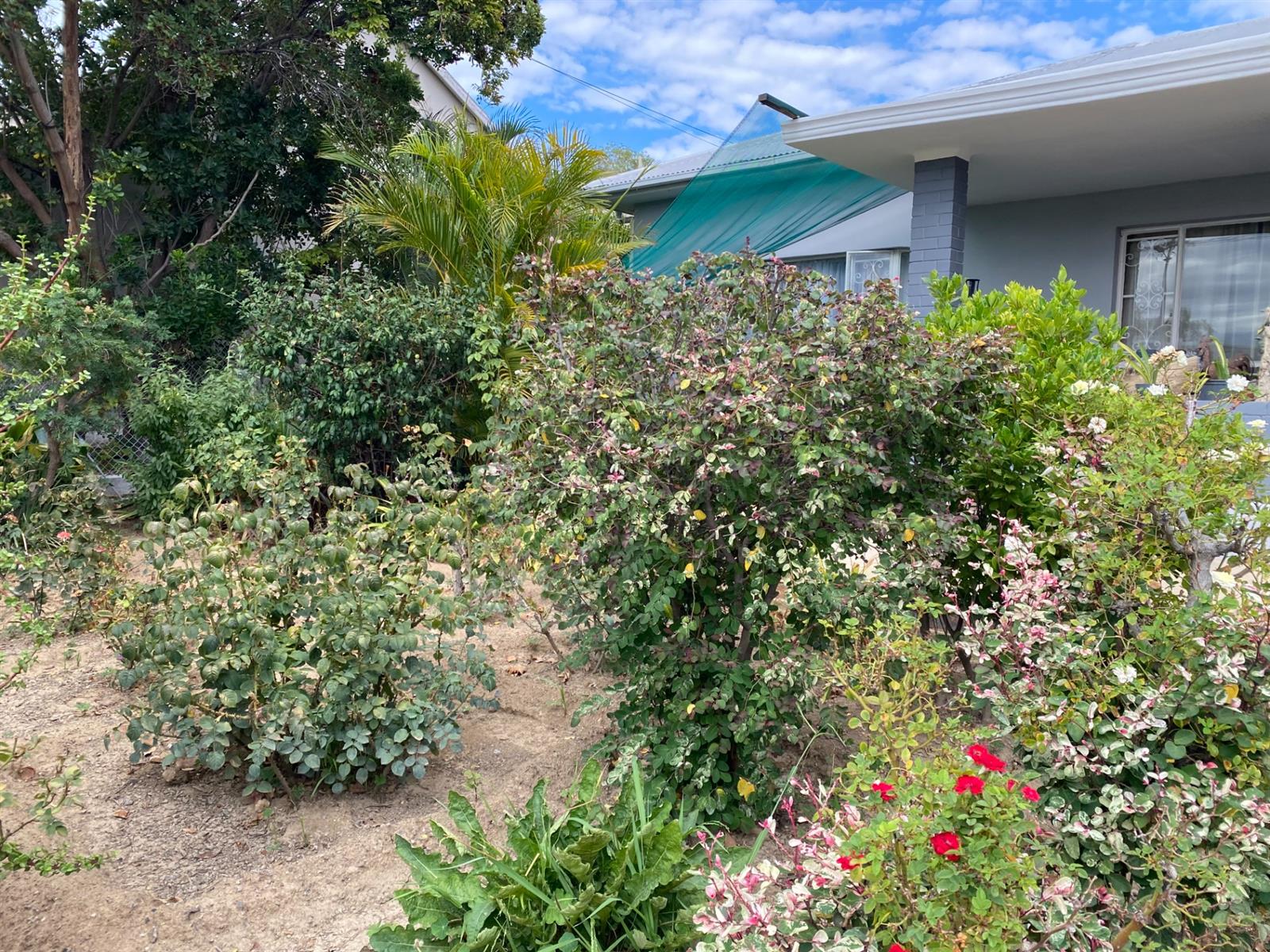 Corner Stand Opportunity with Swartberg Views in Prince Albert