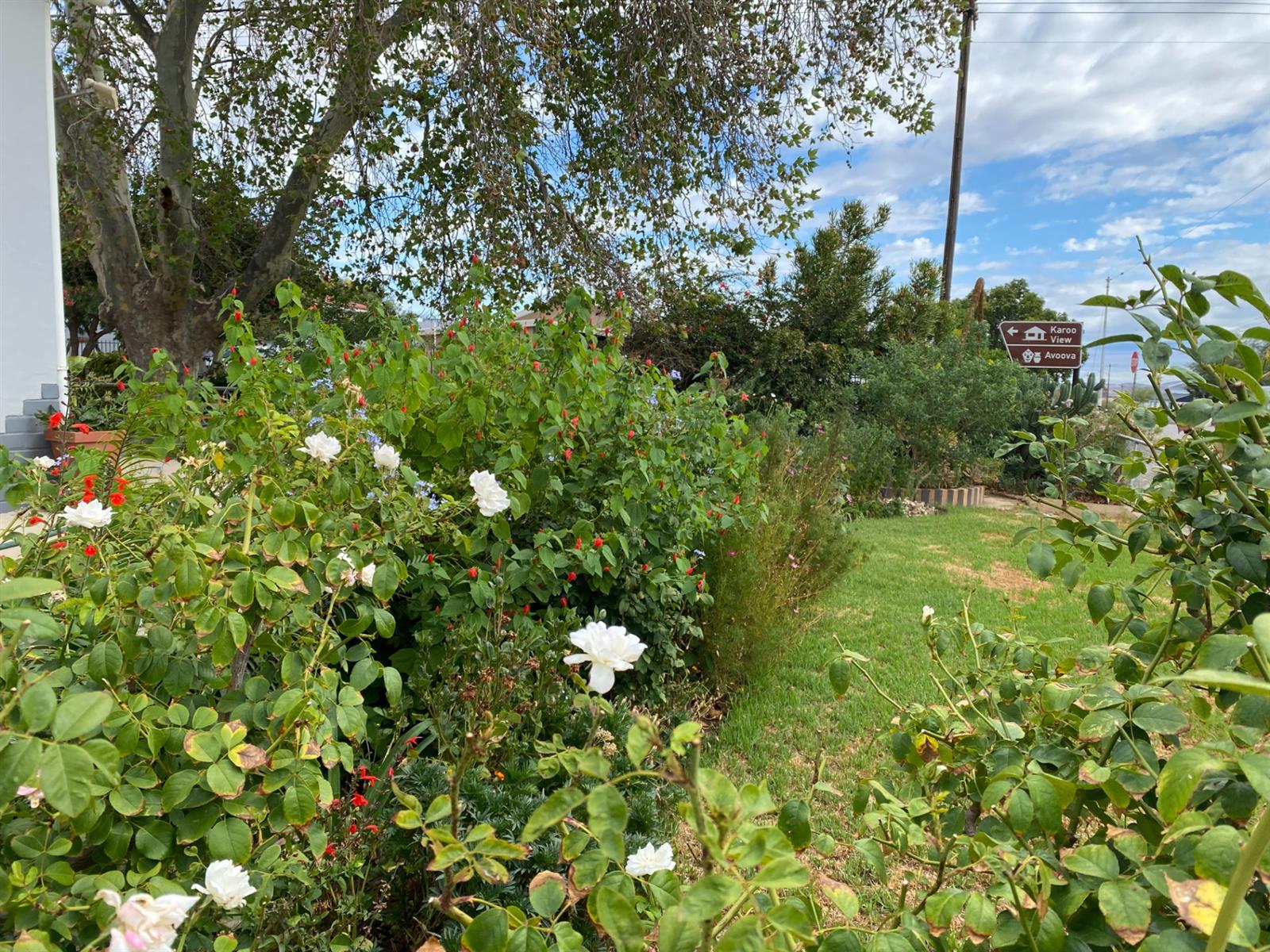 Corner Stand Opportunity with Swartberg Views in Prince Albert