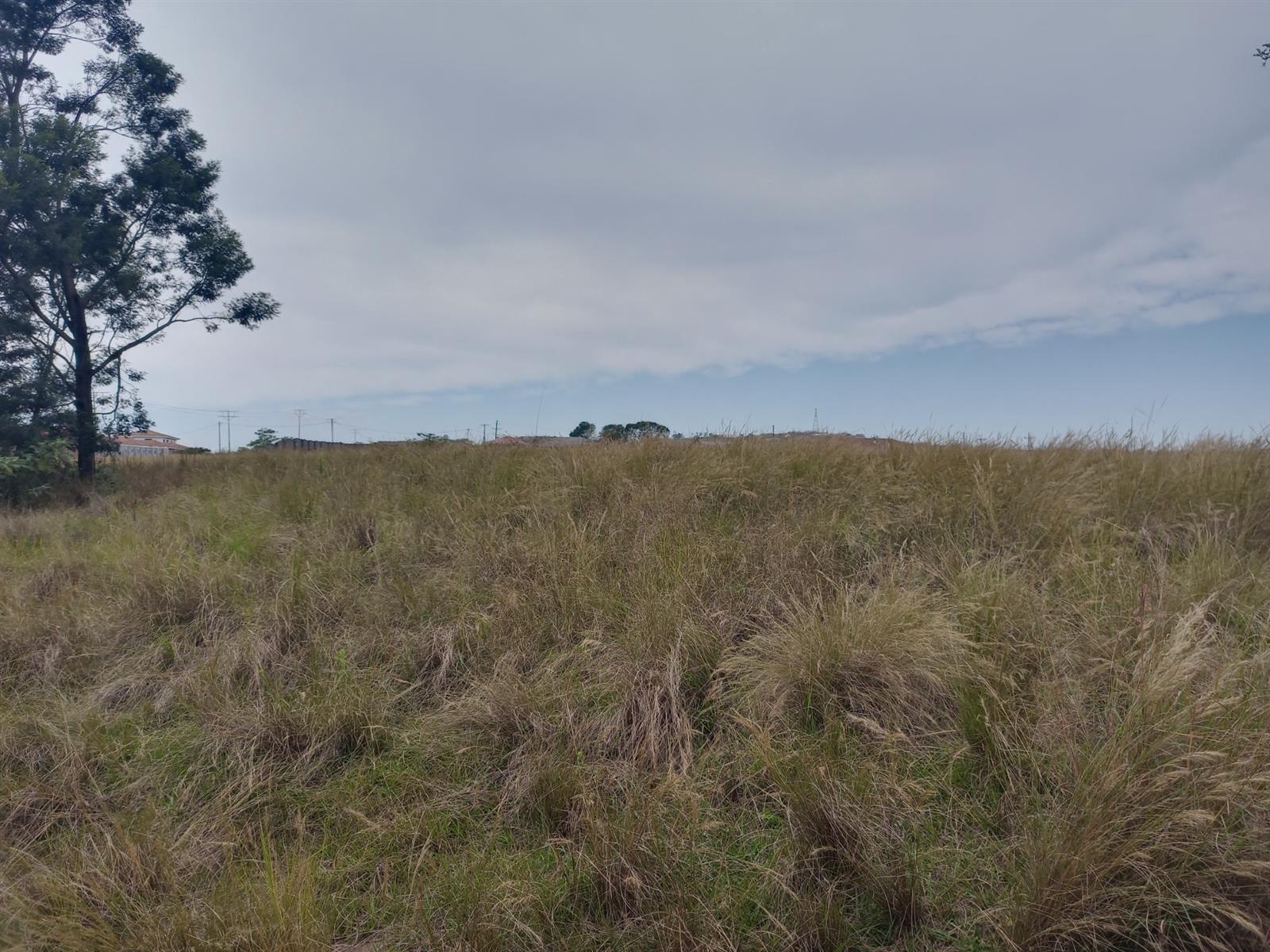 Vacant Land for sale in Thornville, Richmond, KwaZulu Natal, 1175 MR53 RICHMOND ROAD, Thornville, Richmond, KwaZulu Natal, 1300 m²