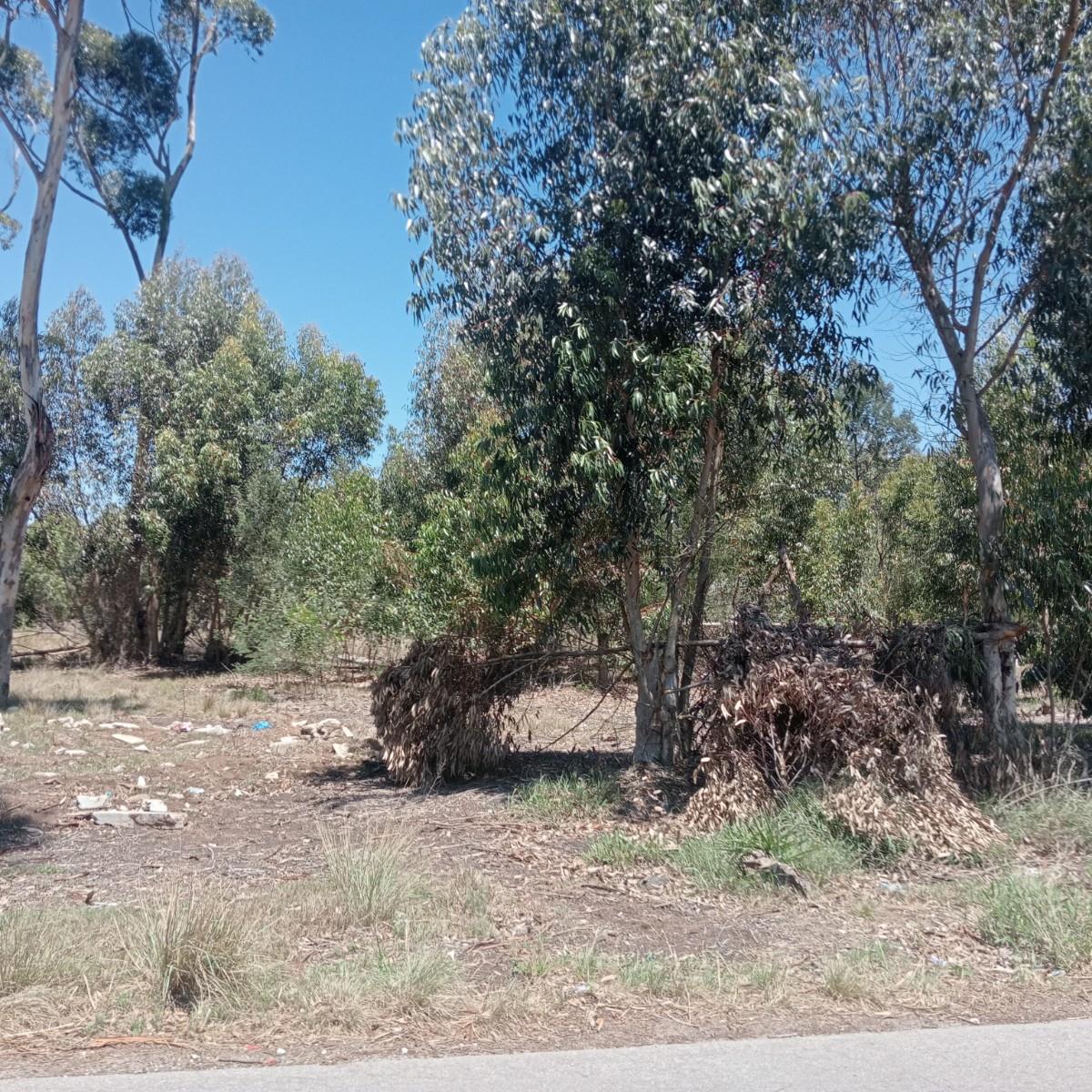 Vacant Land For Sale in Port Elizabeth Central, Port Elizabeth