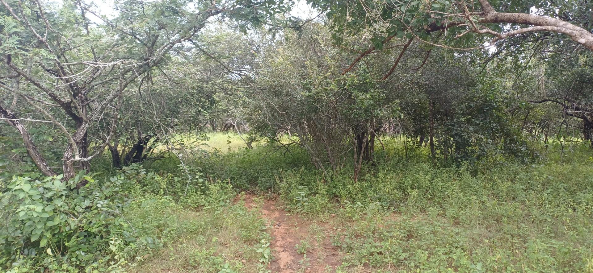 Vacant Land for sale in Marloth Park, 1700 m²