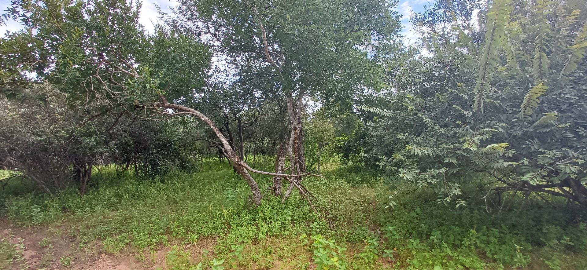 Vacant Land for sale in Marloth Park, 1700 m²