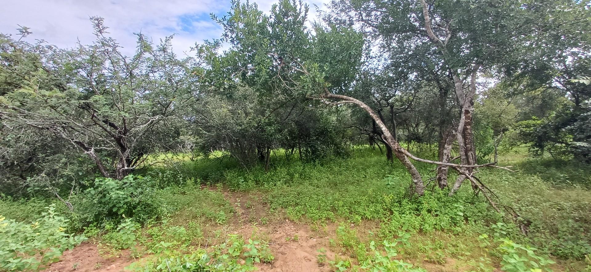 Vacant Land for sale in Marloth Park, 1700 m²