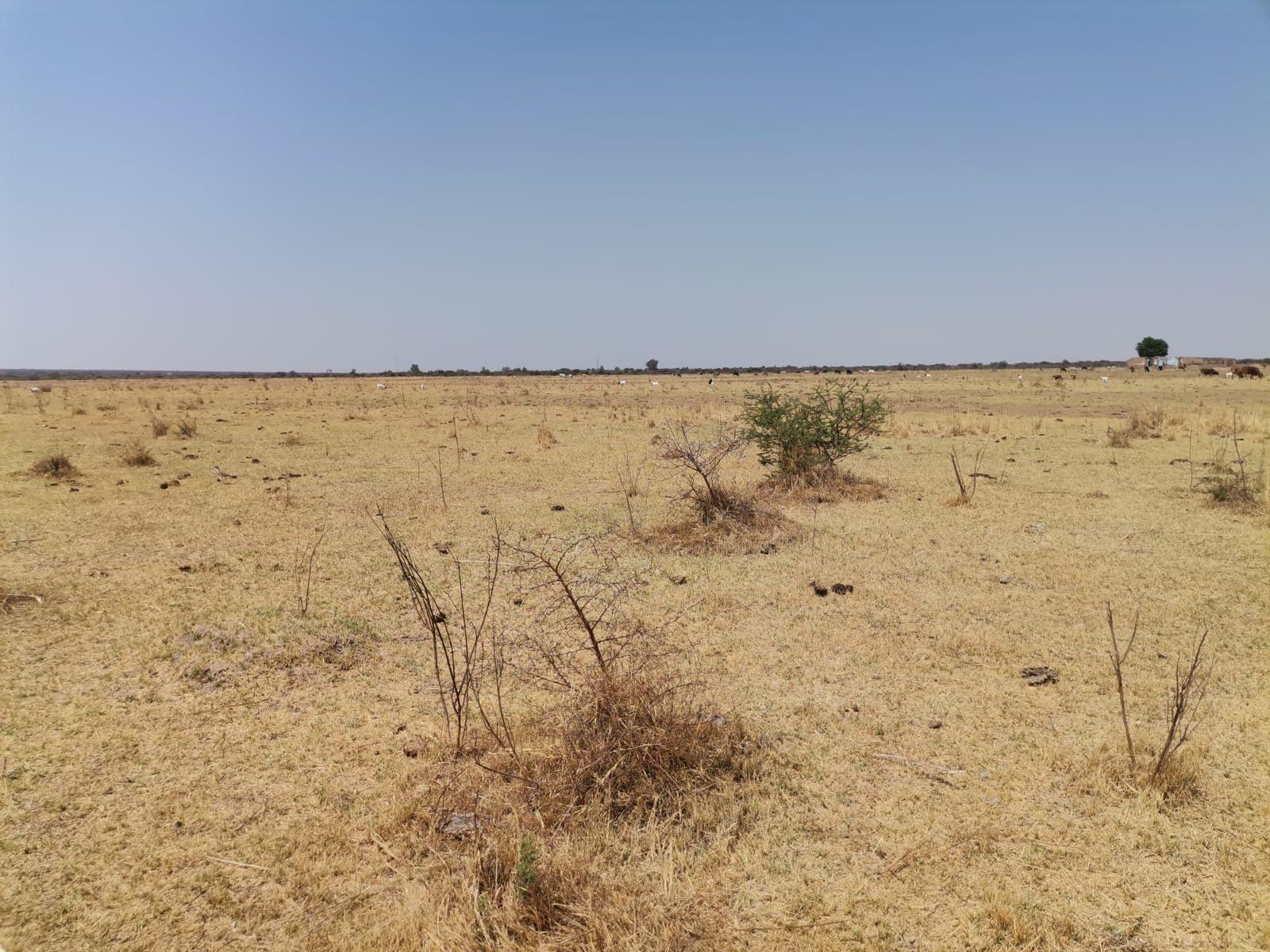 Vacant Land For Sale in Moeka, North West