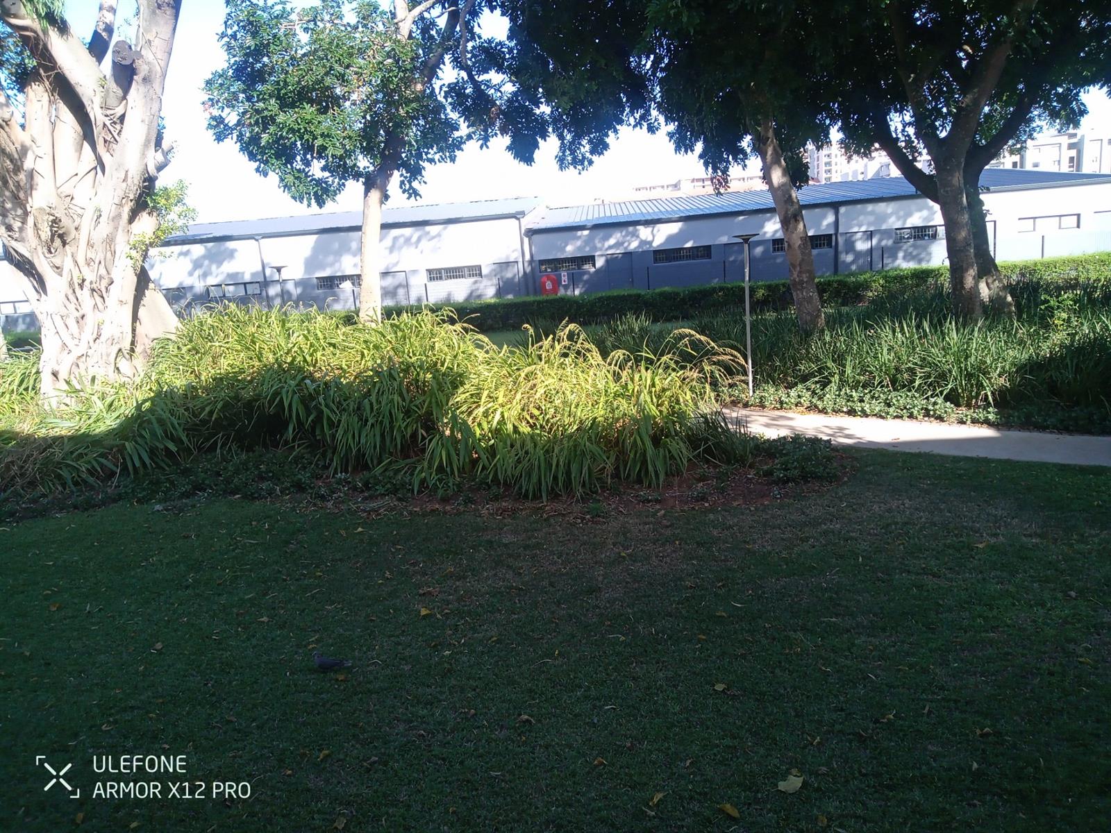 Beautiful open plan spacious apartment opposite bowling and tennis courts