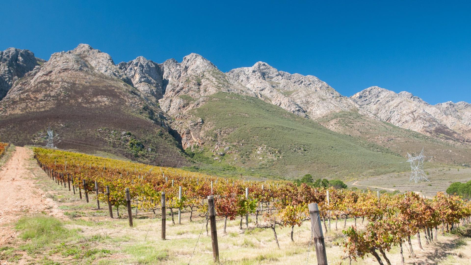 194-hectare estate offers a compelling combination of vineyard excellence and heritage significance