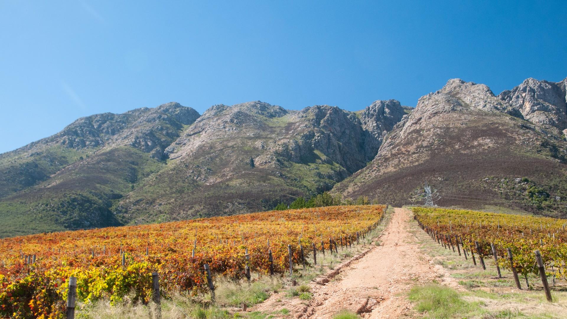 194-hectare estate offers a compelling combination of vineyard excellence and heritage significance