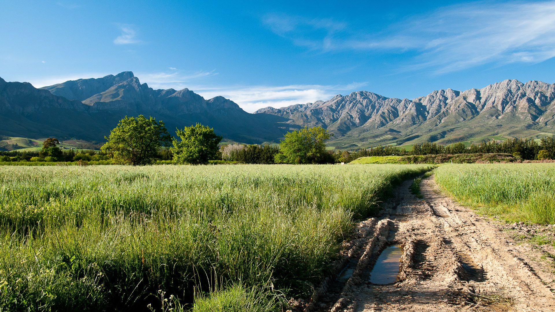 Vacant Land For Sale in Tulbagh Western Cape