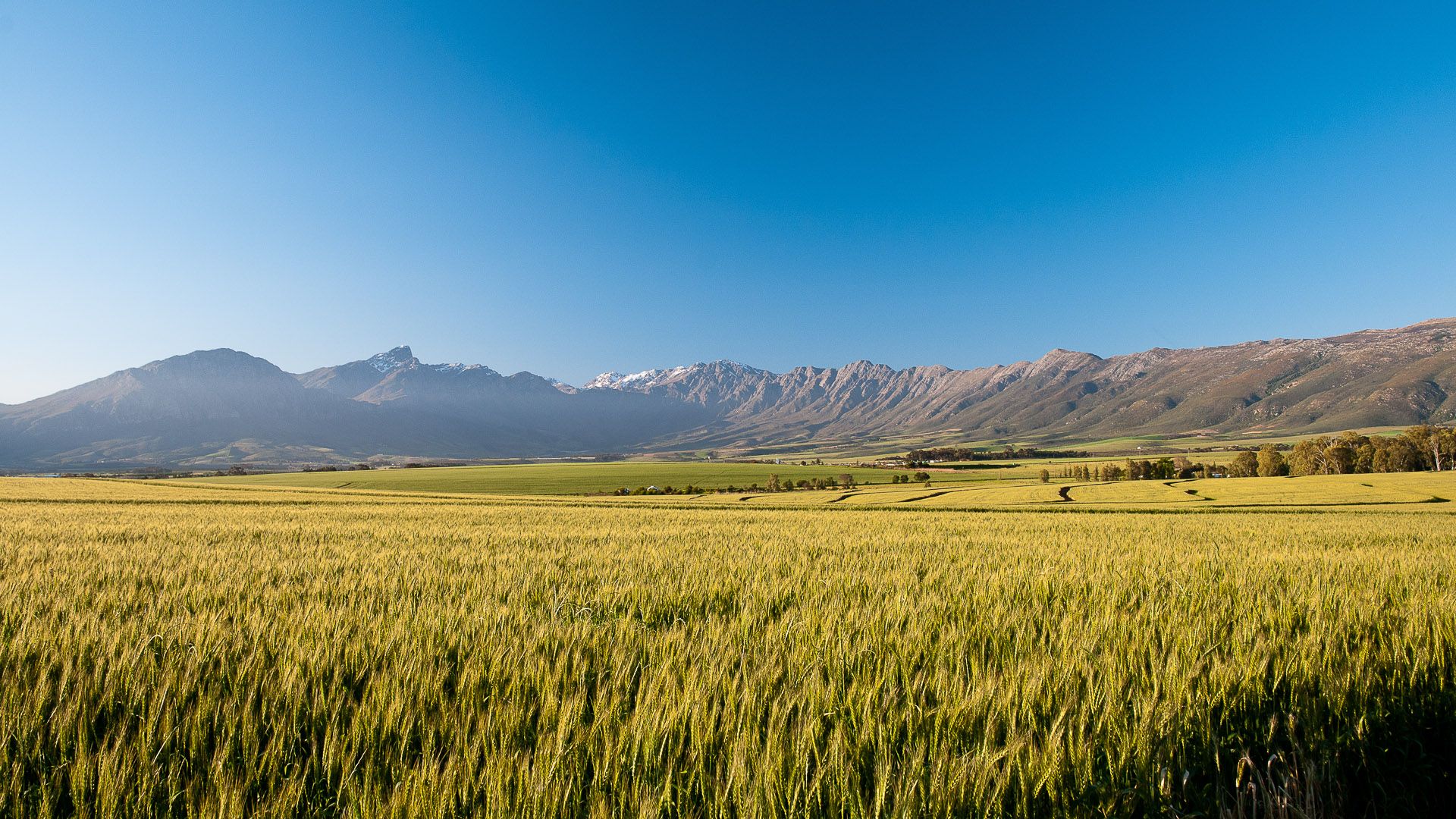 Vacant Land For Sale in Tulbagh Western Cape
