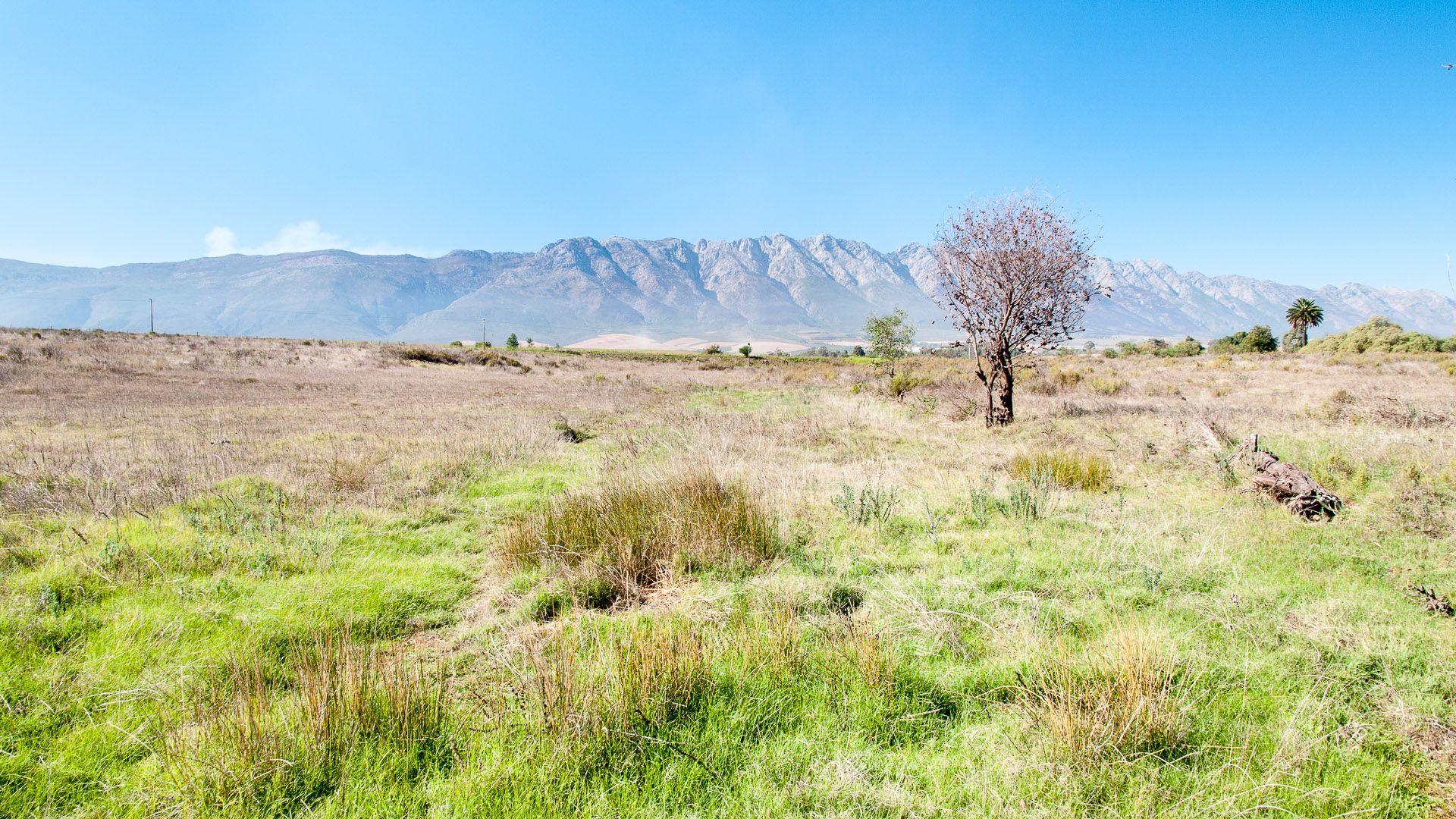 Vacant Land For Sale in Tulbagh Western Cape