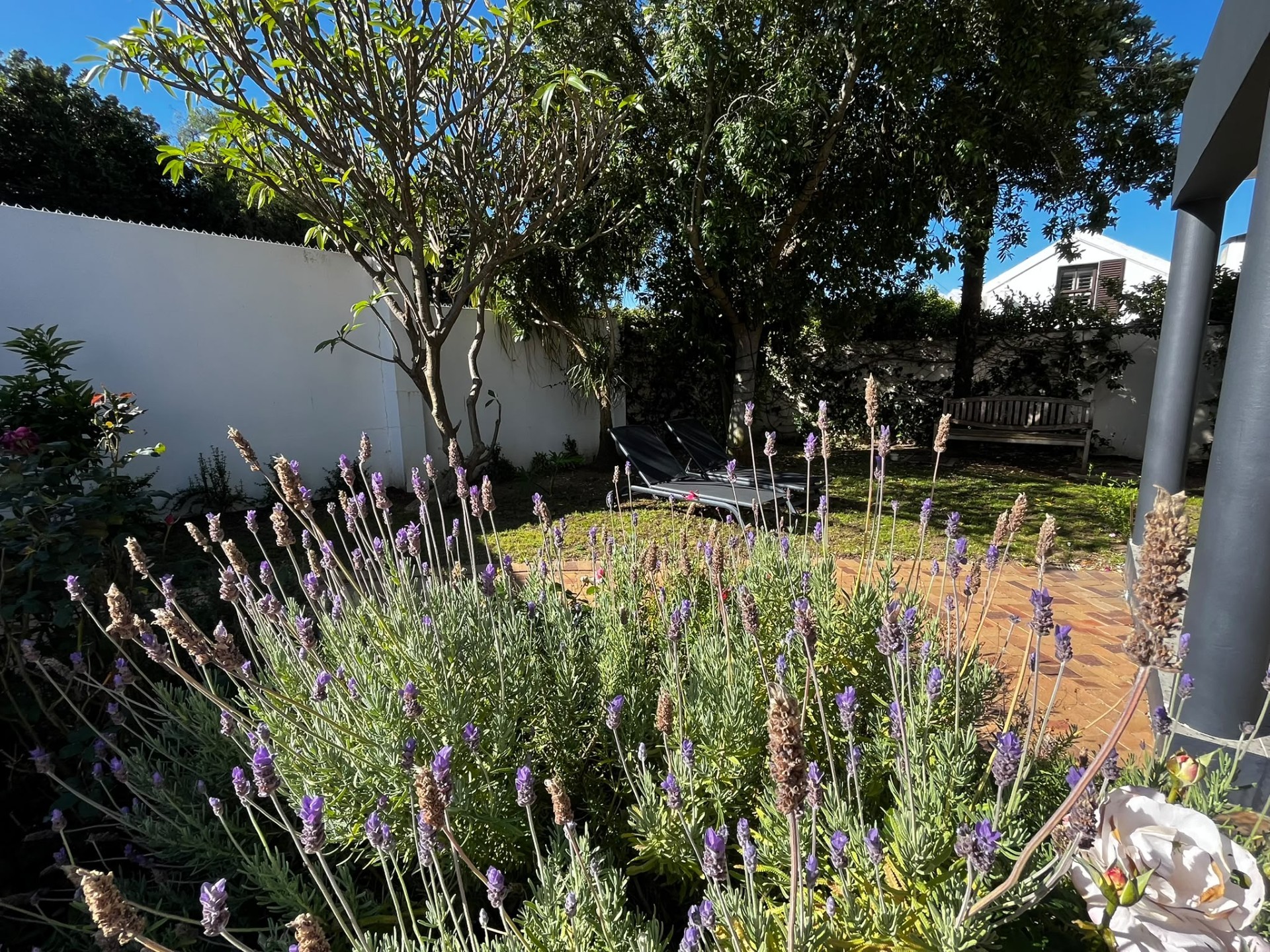 House for sale in Riebeek West, Riebeek Valley, 440 m²