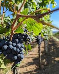 Farm For Sale in Malmesbury Rural, Malmesbury