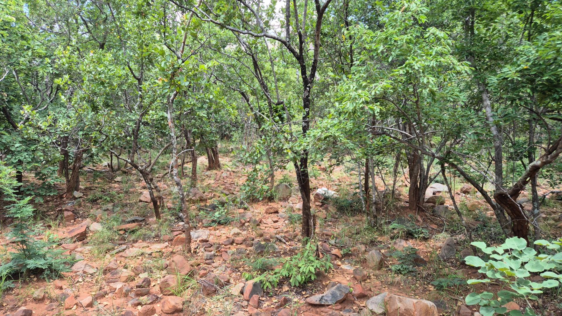Vacant Land with Limpopo View For Sale in Canyon Game Reserve, Hoedspruit