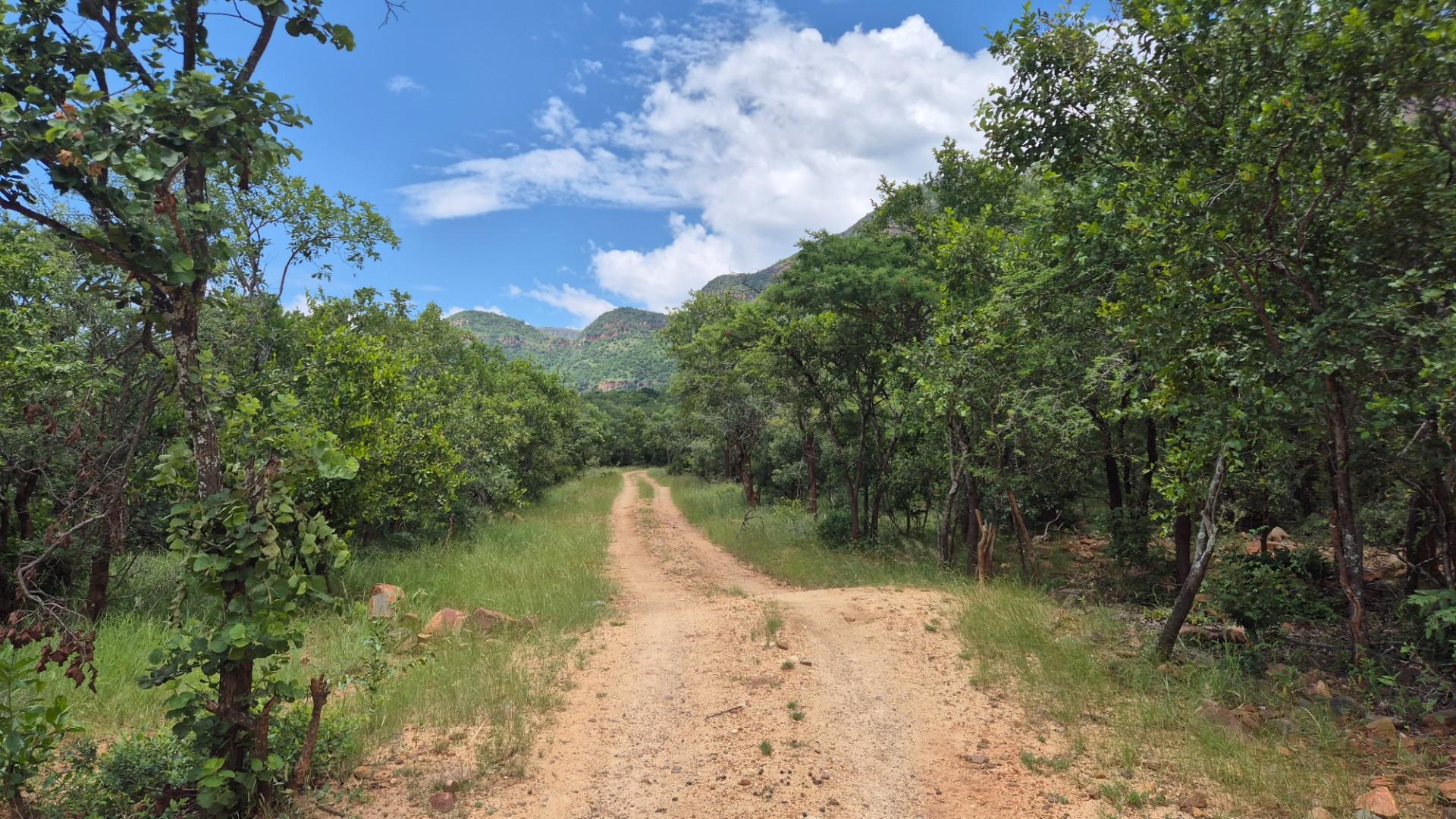 Vacant Land with Limpopo View For Sale in Canyon Game Reserve, Hoedspruit