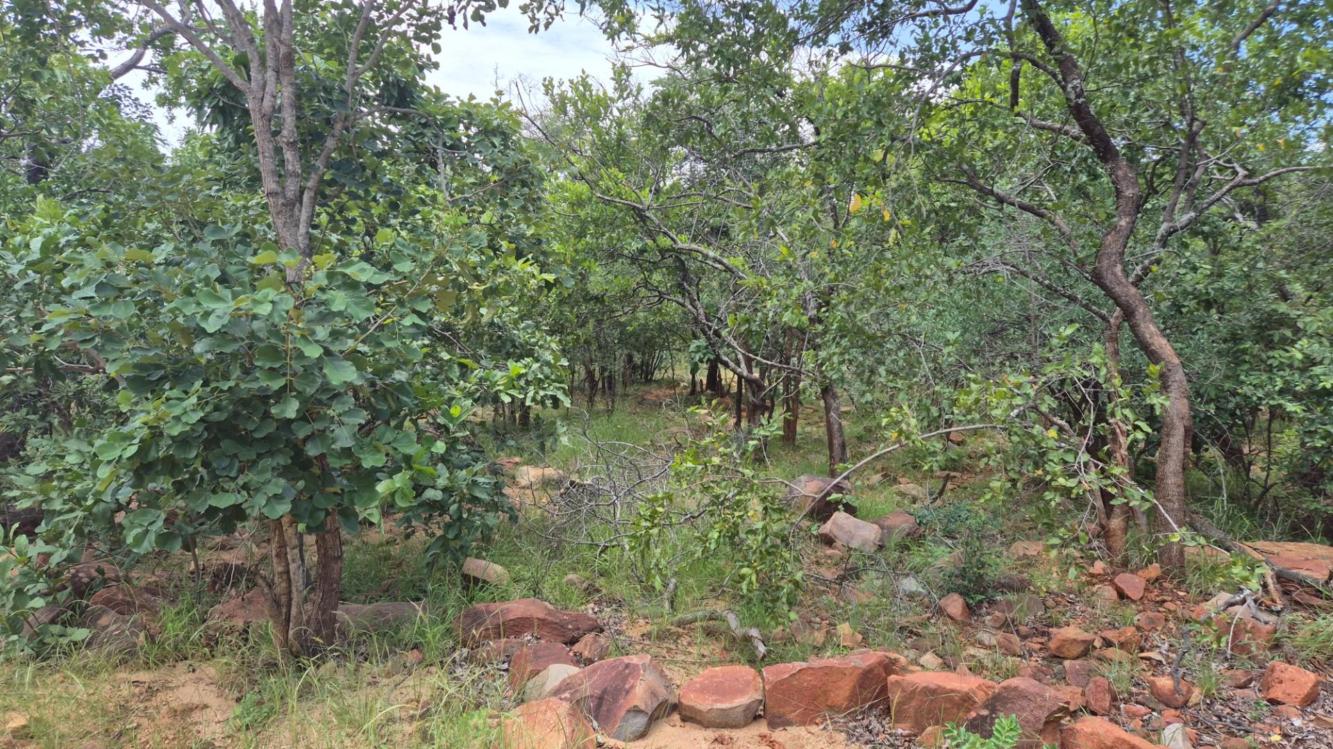 Vacant Land with Limpopo View For Sale in Canyon Game Reserve, Hoedspruit