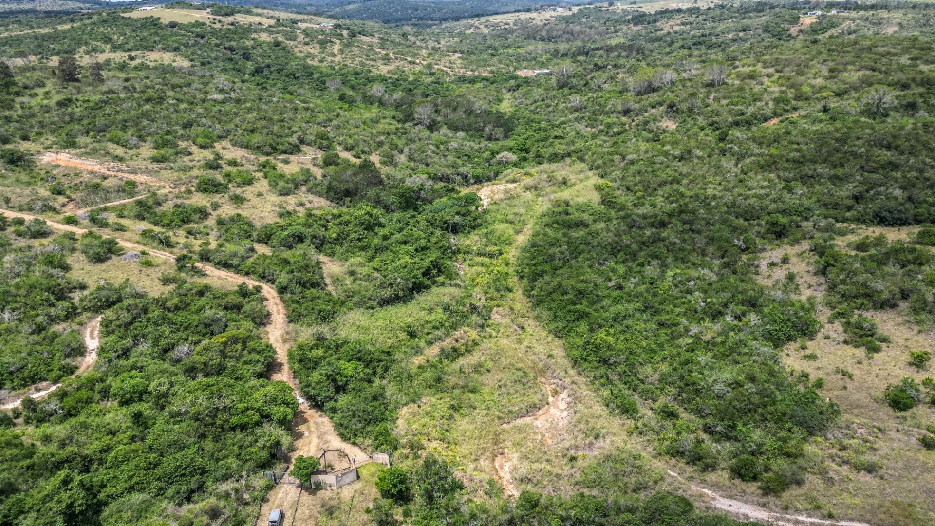 87.9ha Blank Canvas Near East London