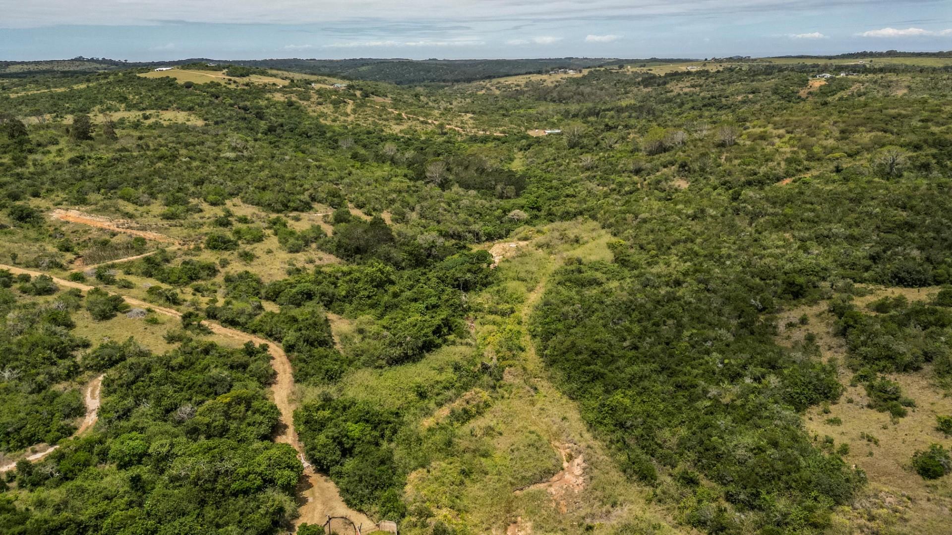 87.9ha Blank Canvas Near East London