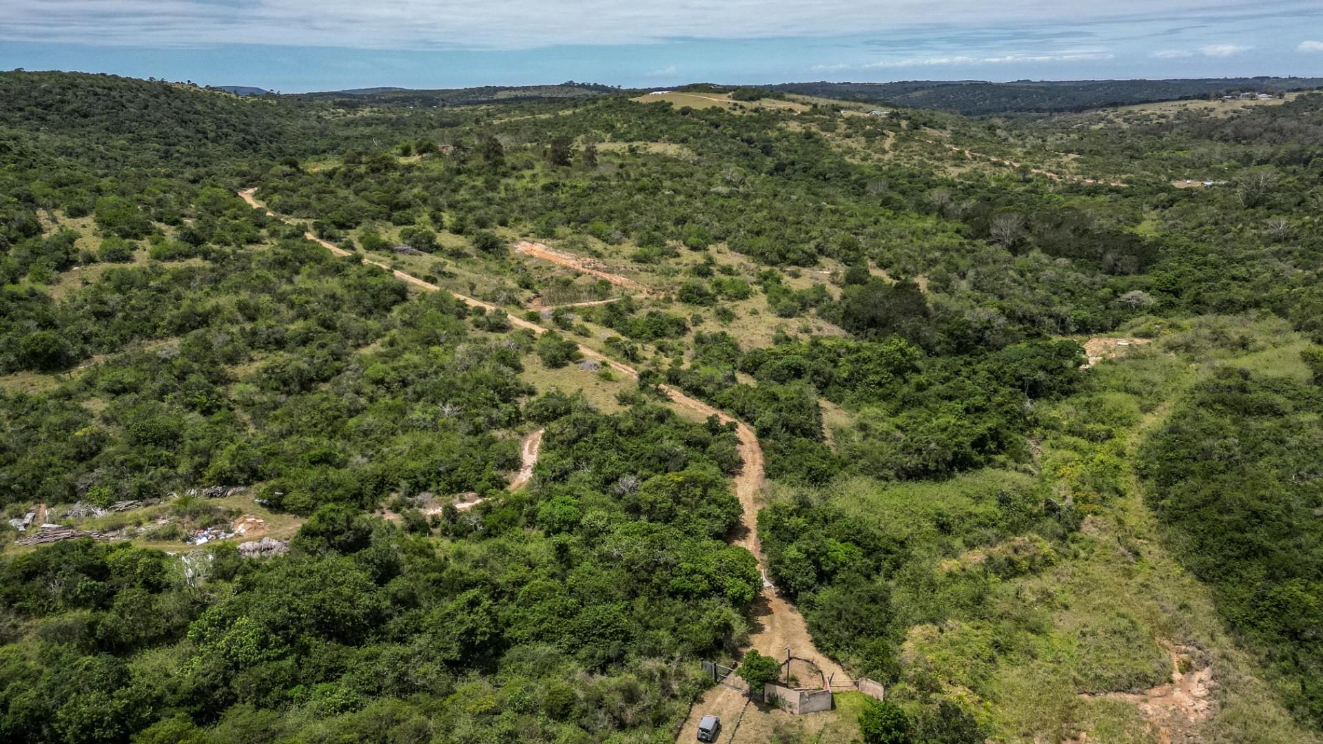 87.9ha Blank Canvas Near East London