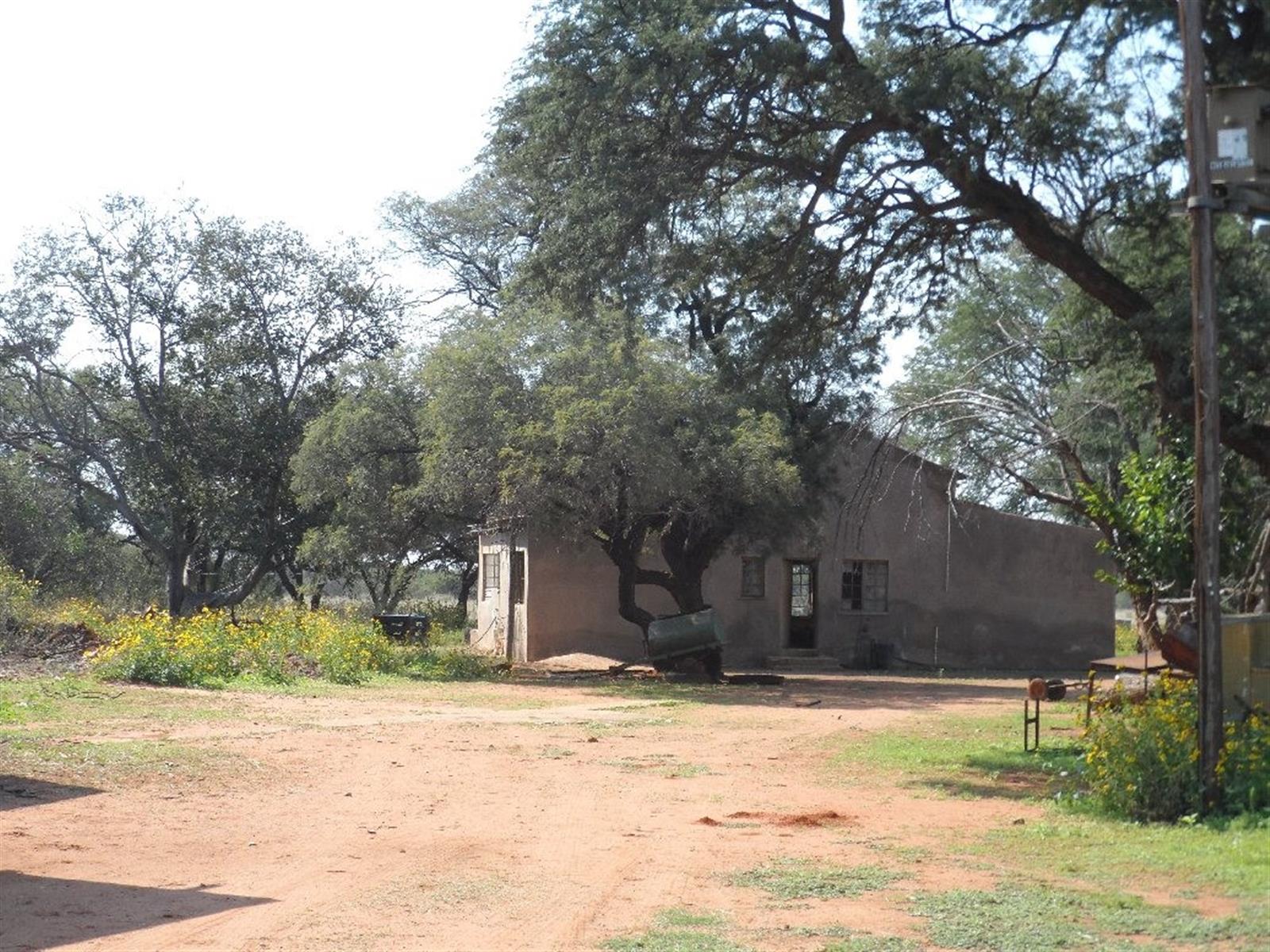 Cattle Farm for Sale
