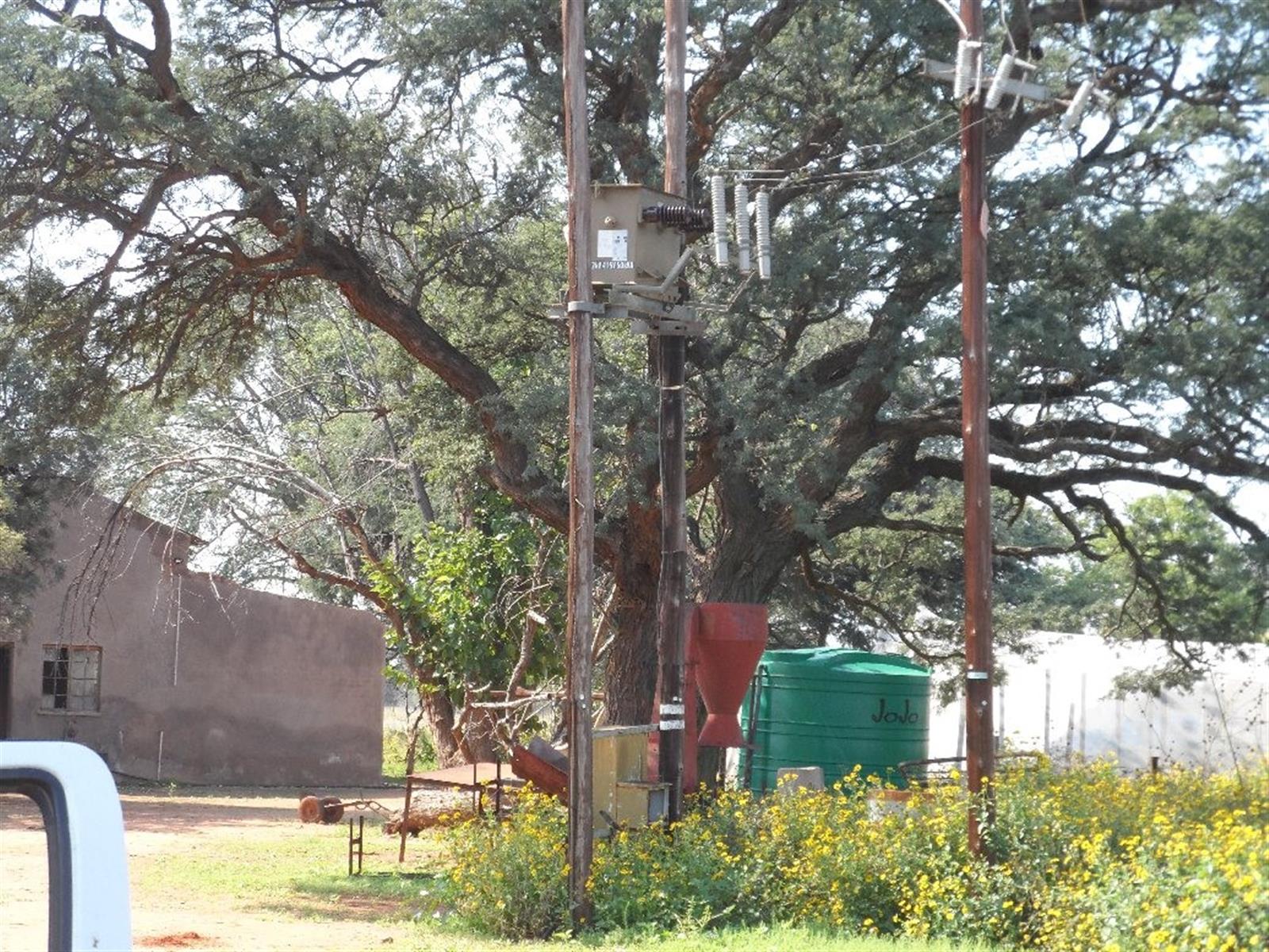Cattle Farm for Sale