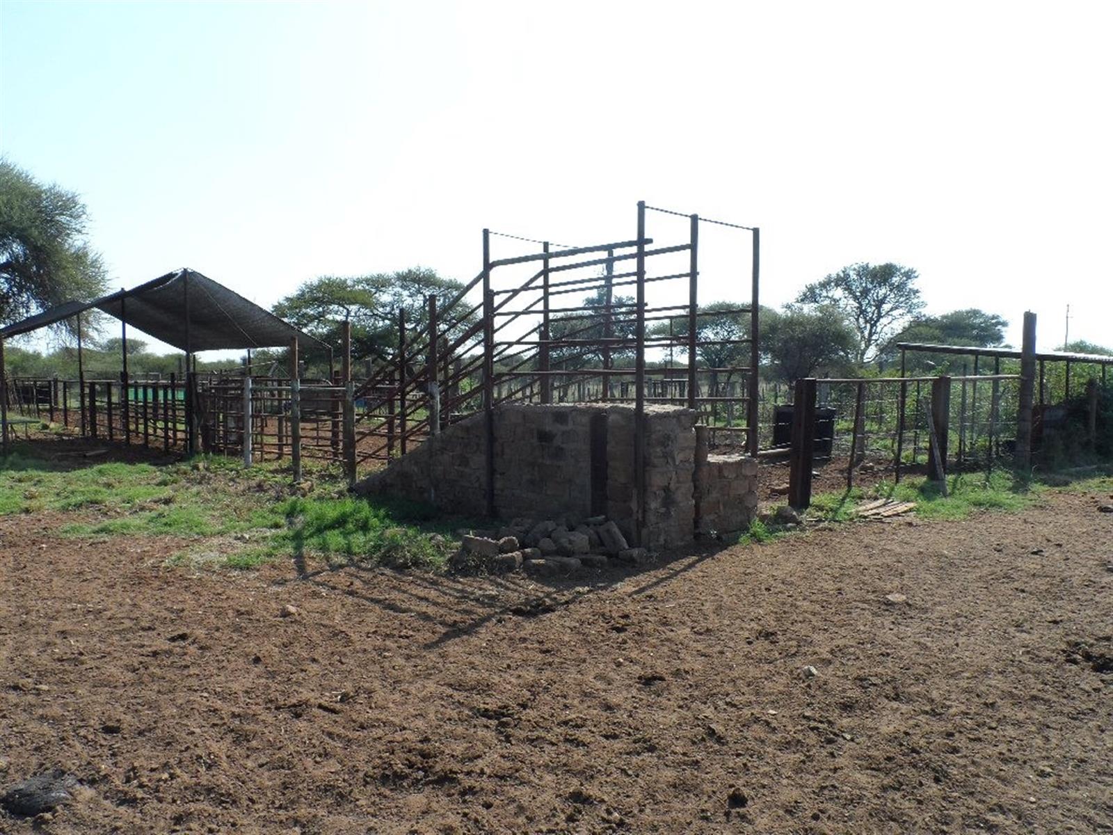 Cattle Farm for Sale