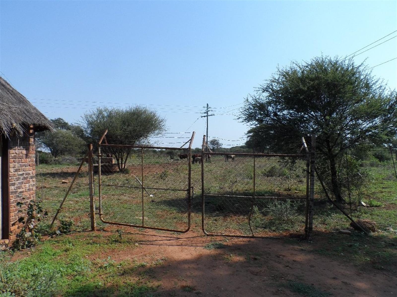 Cattle Farm for Sale
