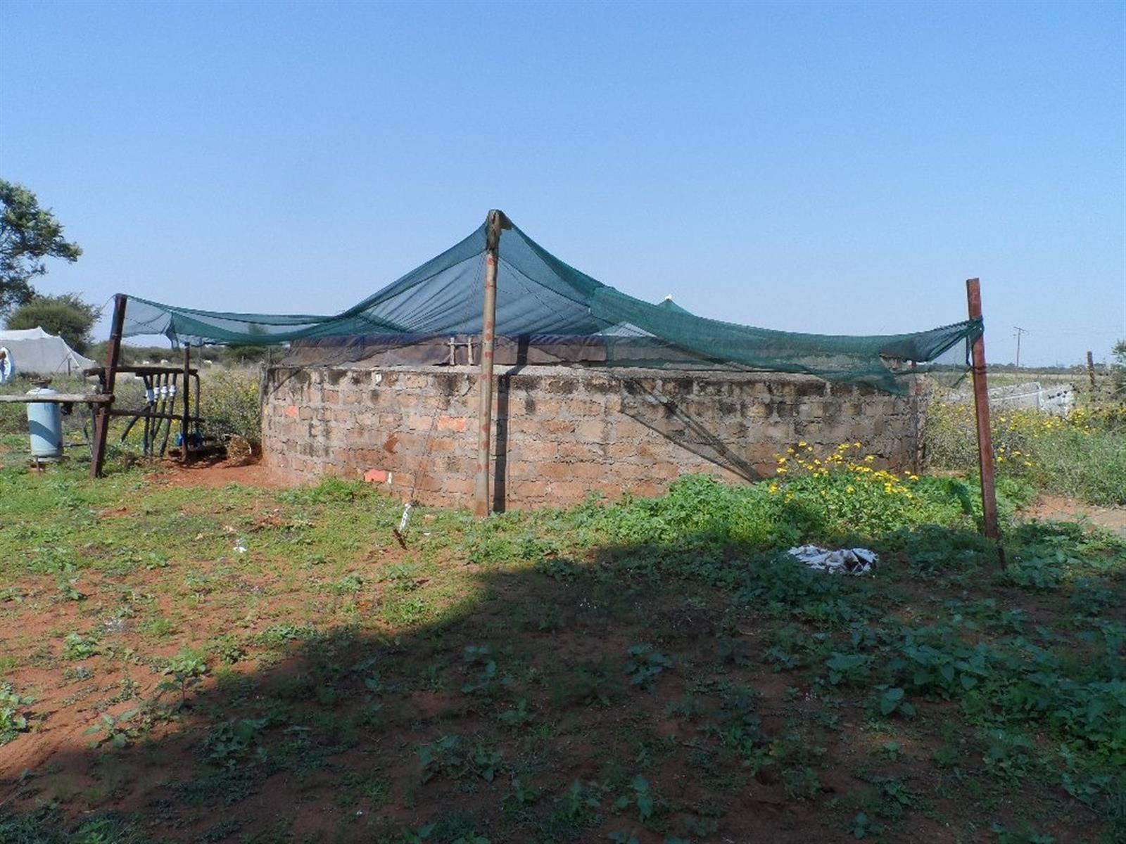 Cattle Farm for Sale
