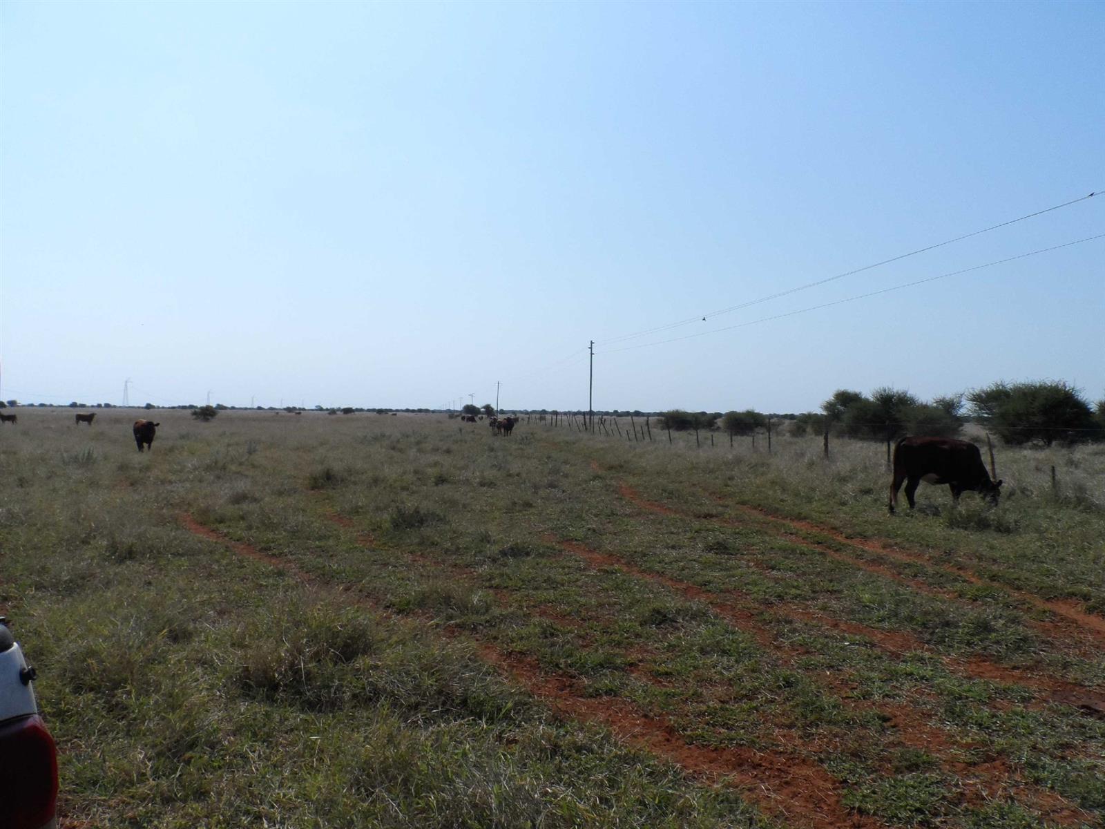 Farm for sale in Marble Hall, 7500000 m²