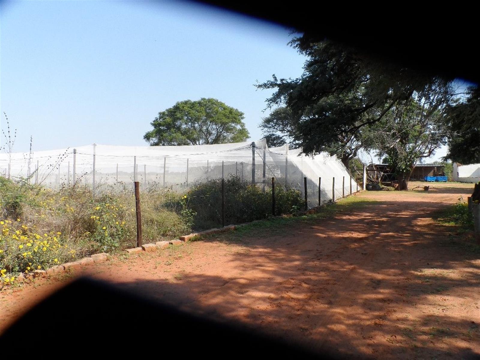 Cattle Farm for Sale