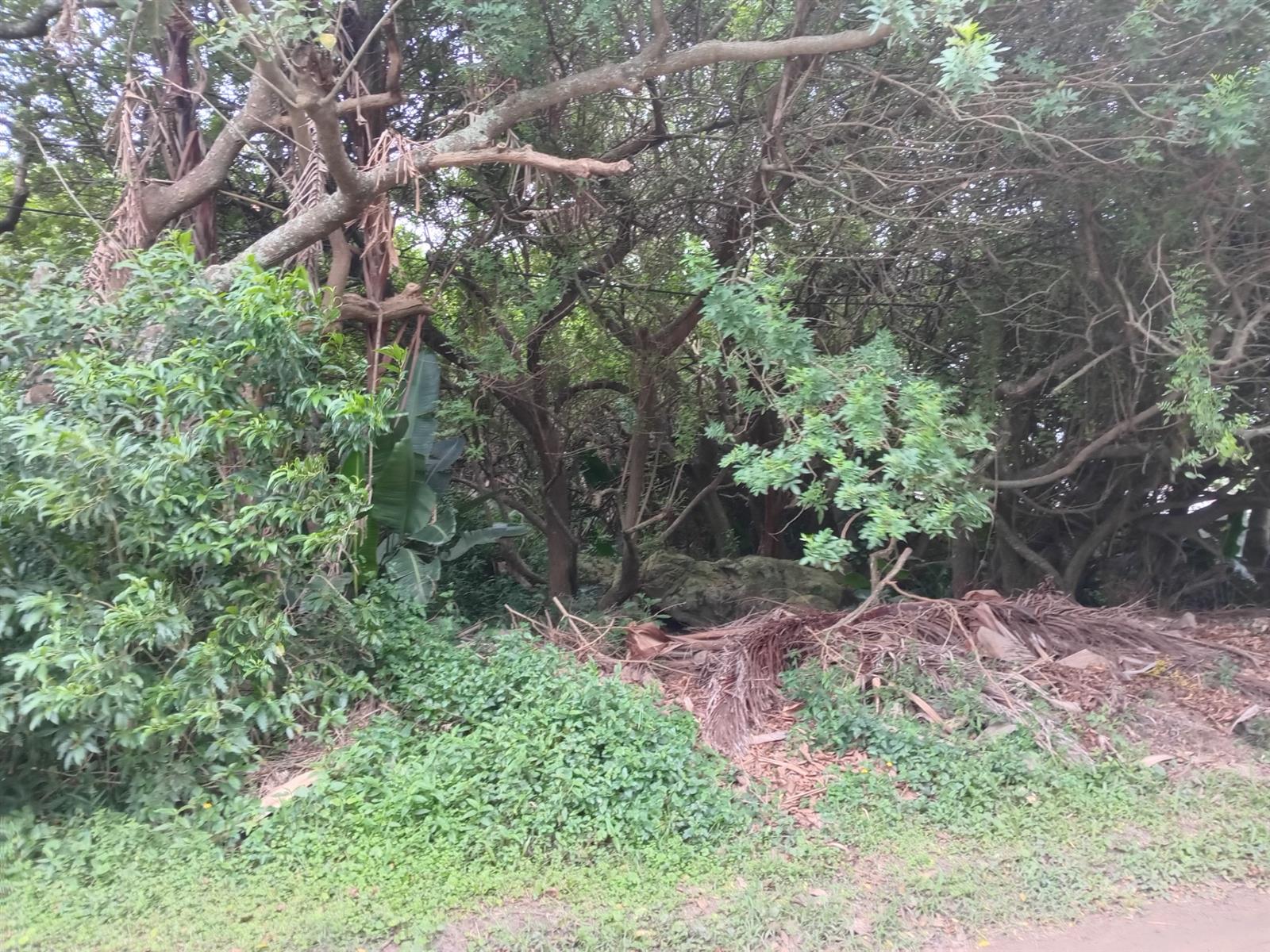 Vacant Stand - 1,473 m² - Your KZN Coastal Dream Awaits