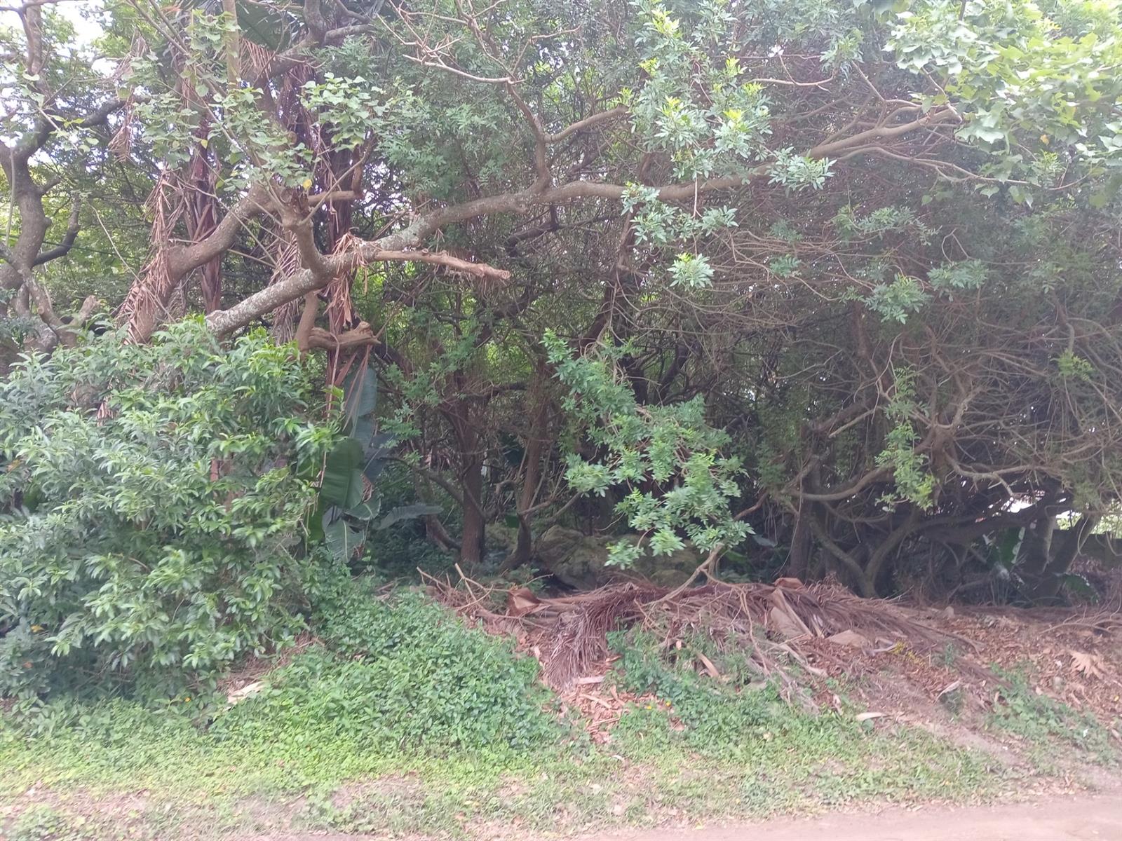 Vacant Stand - 1,473 m² - Your KZN Coastal Dream Awaits
