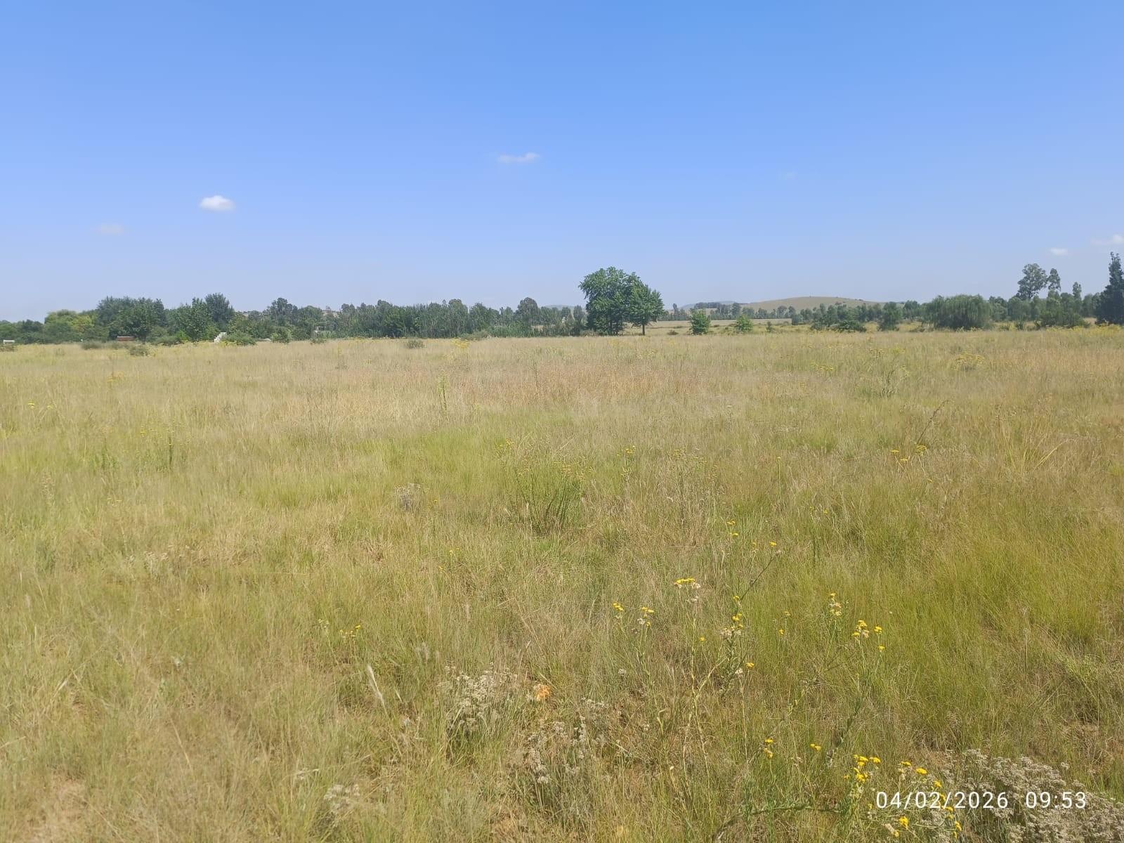 Vacant Development land for Sale in Blue Saddle Ranches