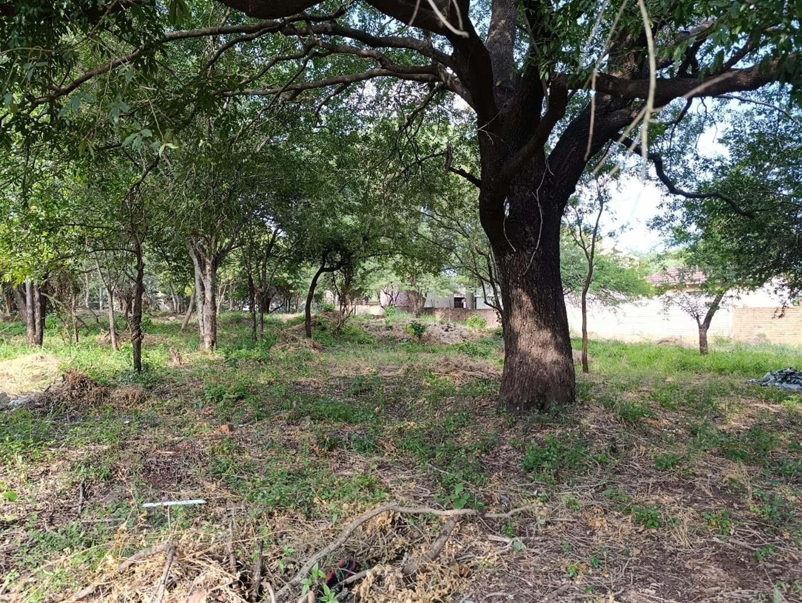 Prime Vacant Stand - Possibly the Last of Its Kind Near Komati CBD