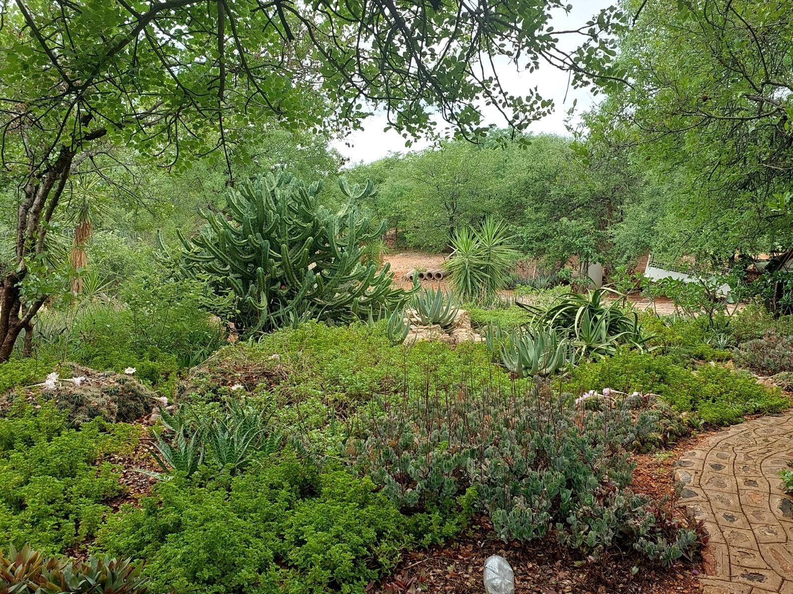 Farm For Sale in Musina / Tshipise, Limpopo